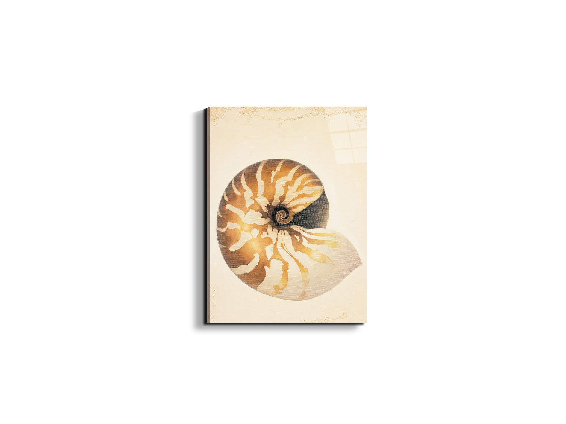 seashell-patternec18208-