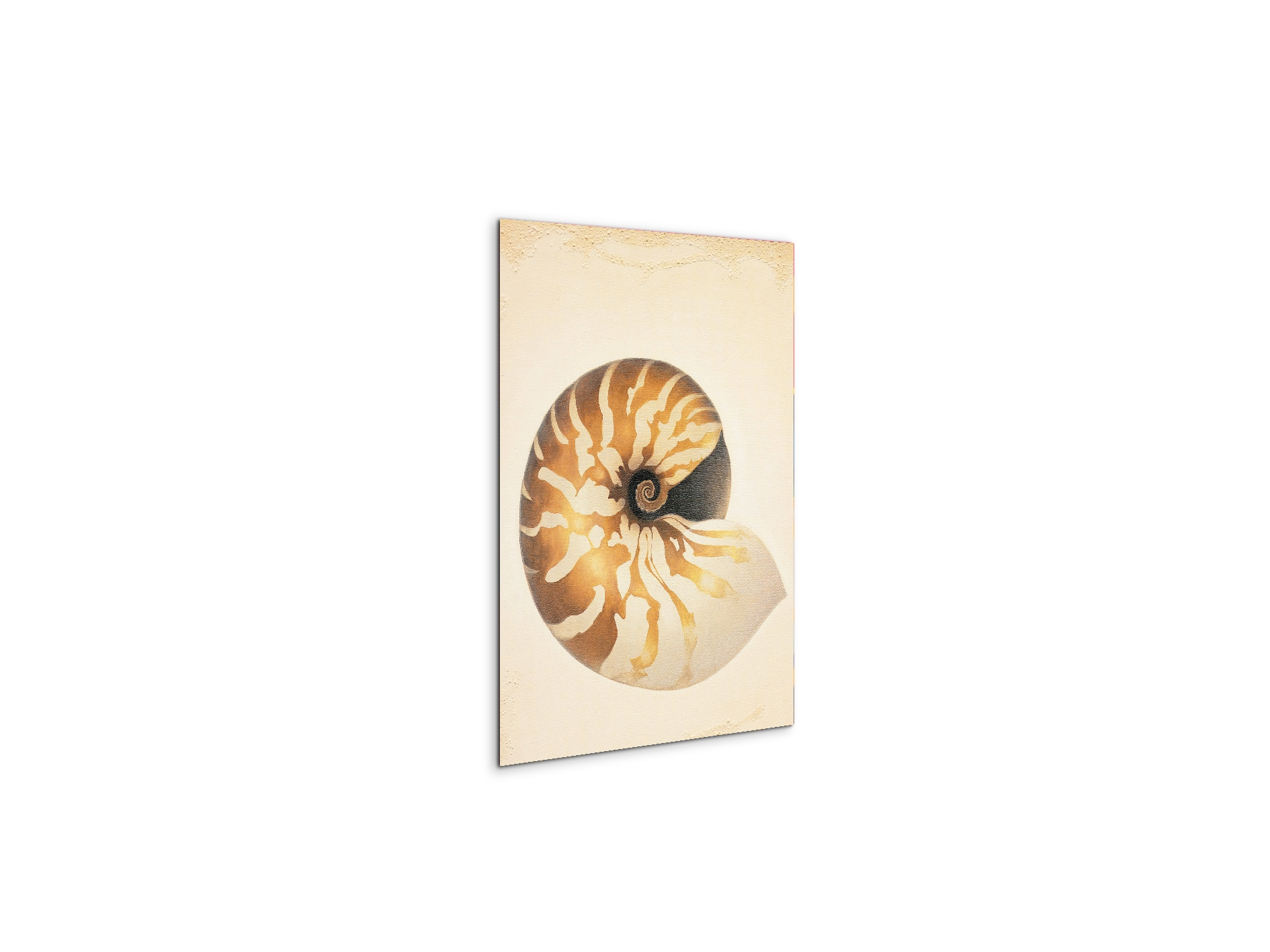 seashell-patternec18208-