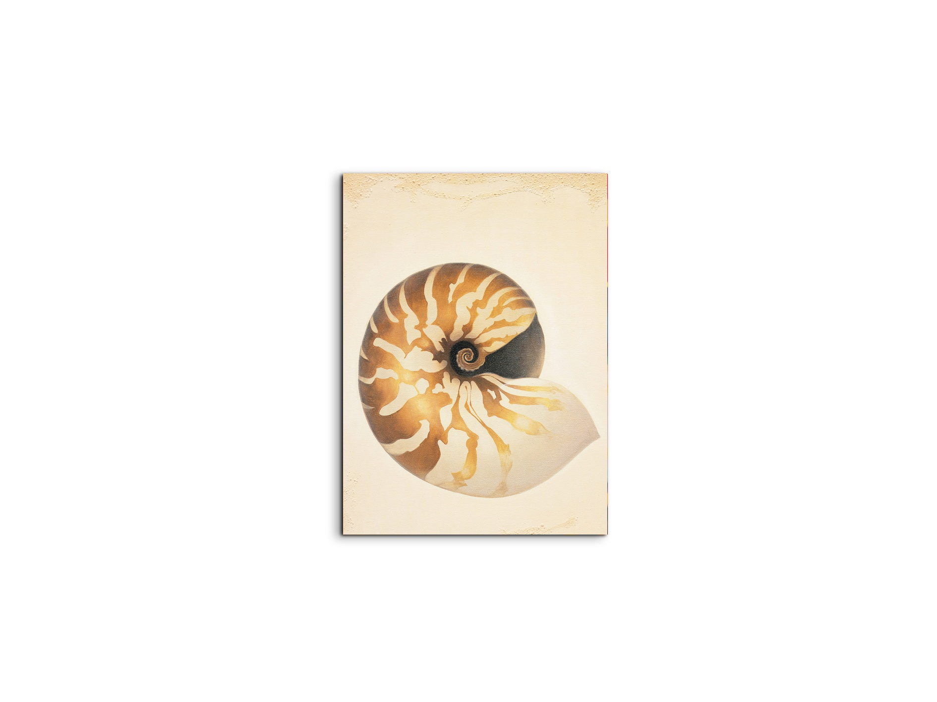 seashell-patternec18208-