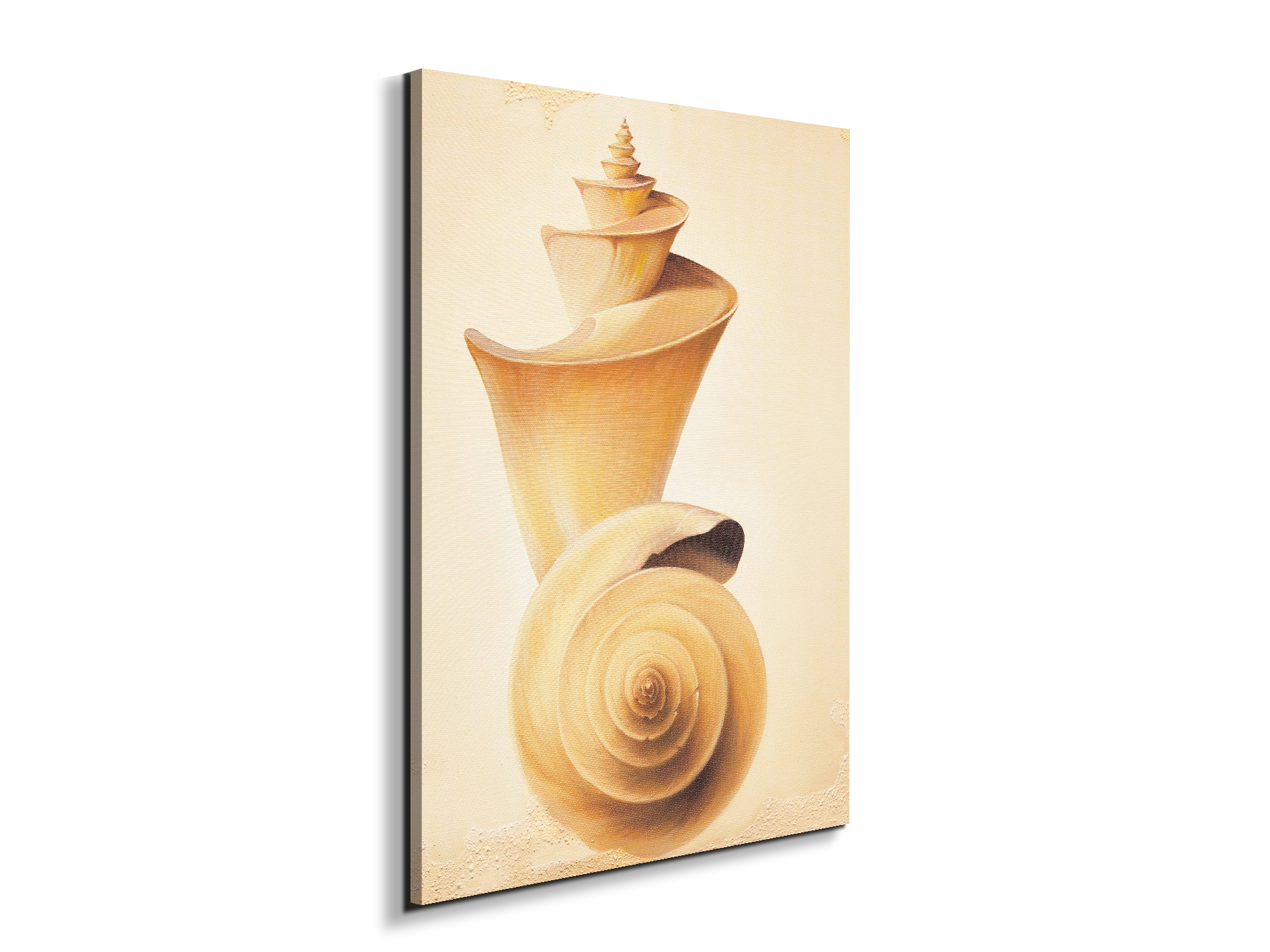 seashell-towerec18209-
