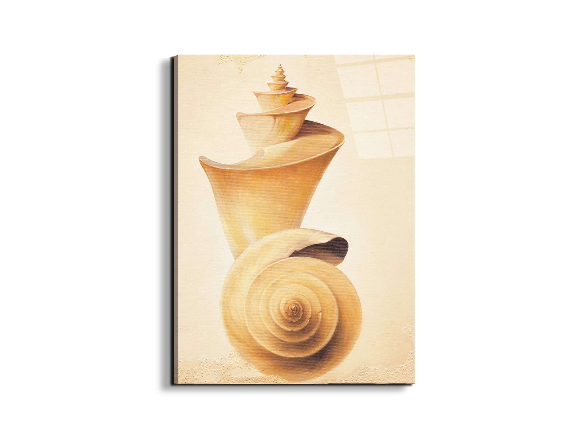 seashell-towerec18209-