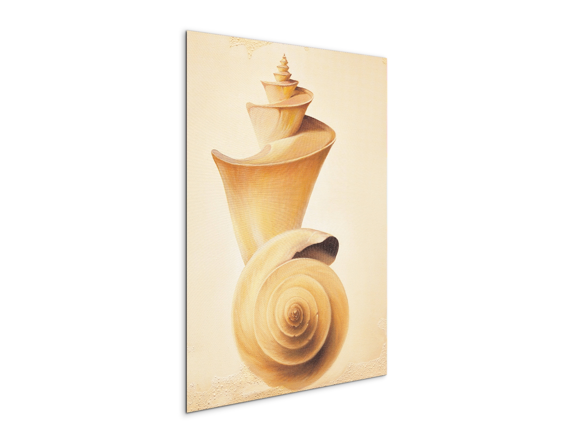 seashell-towerec18209-