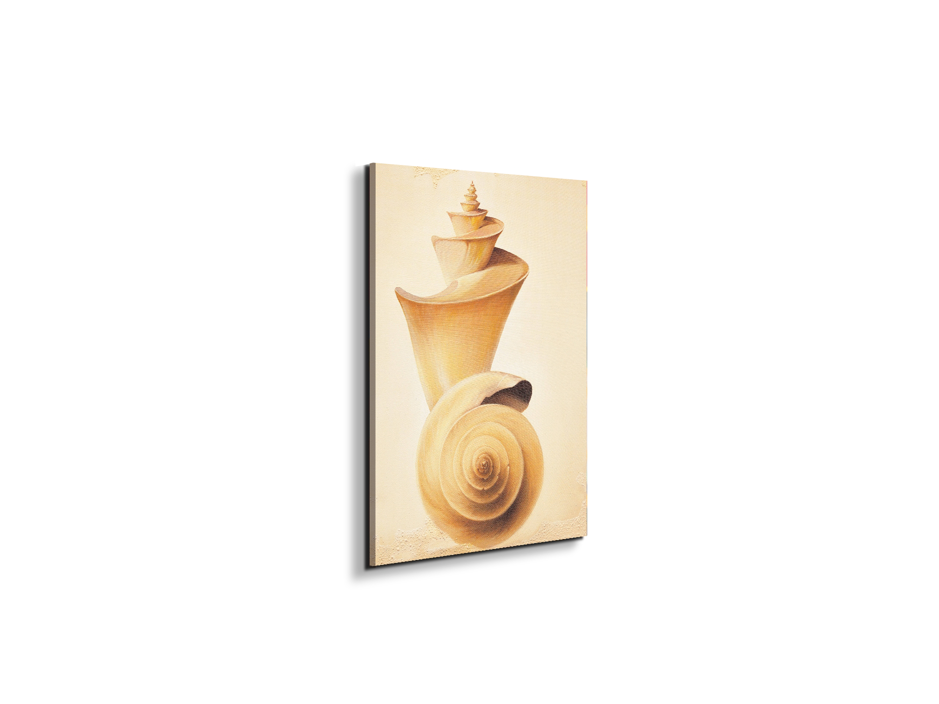 seashell-towerec18209-
