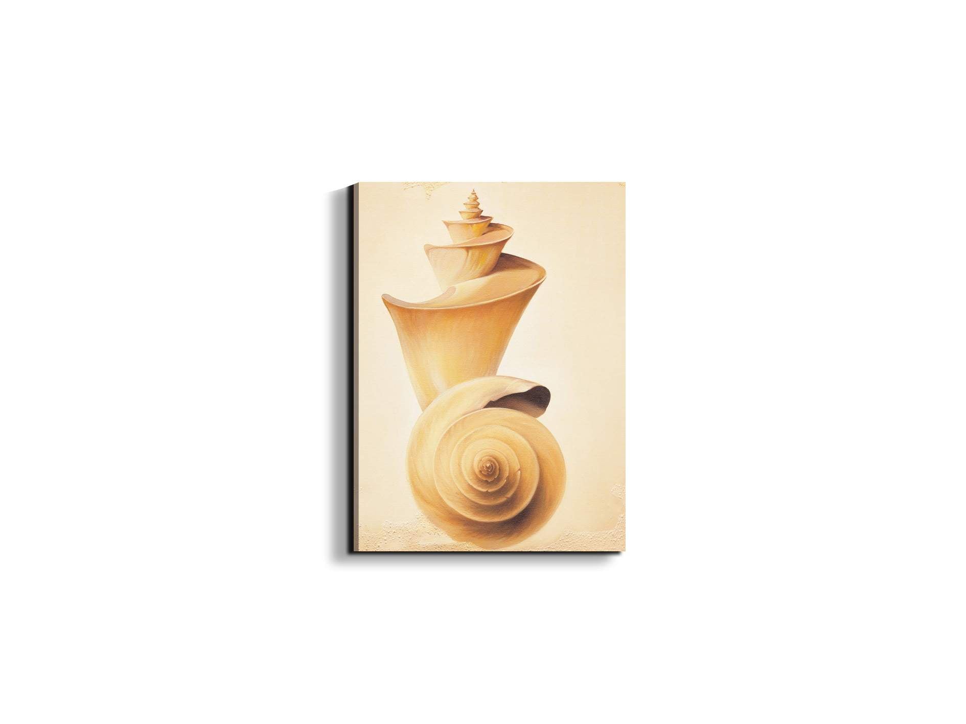 seashell-towerec18209-