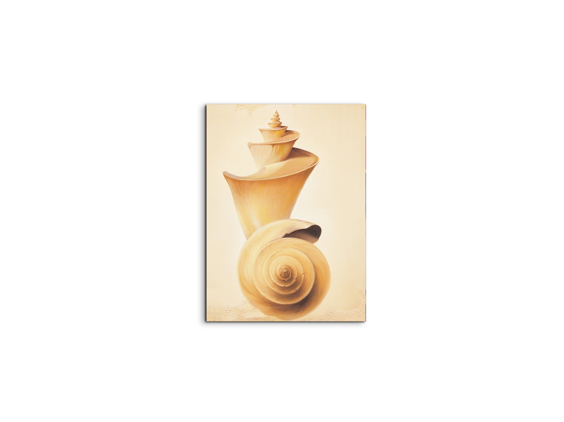 seashell-towerec18209-