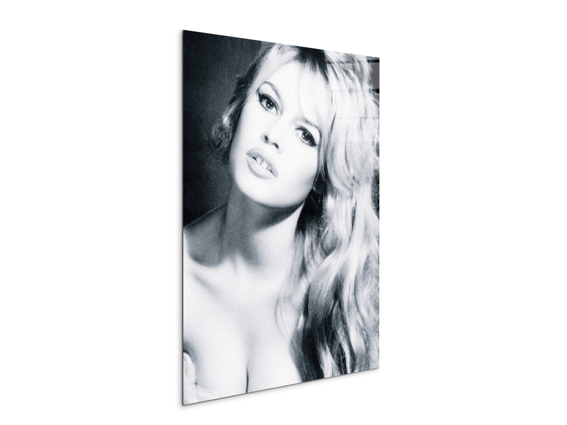 homage-to-brigitteec18427-