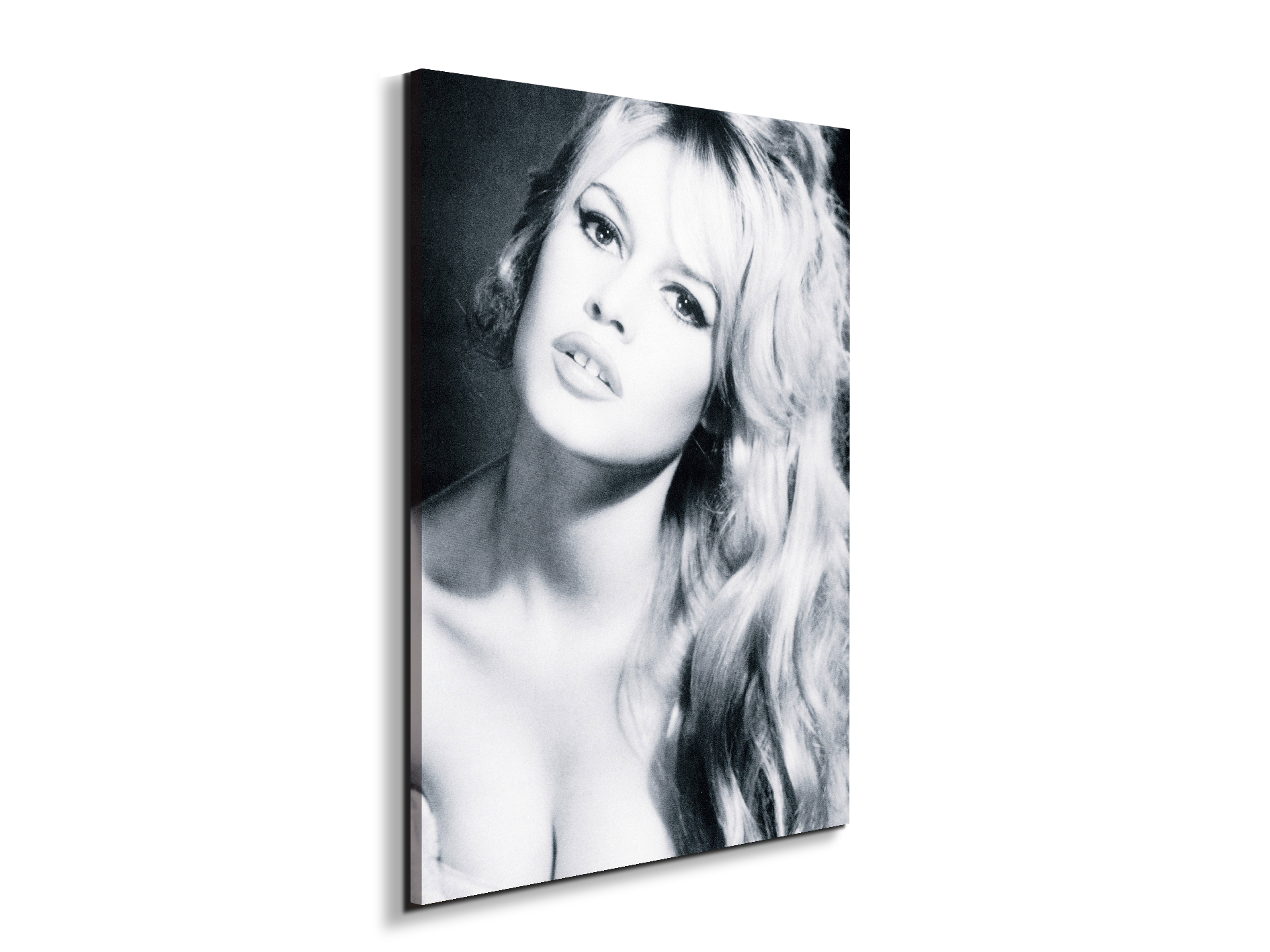 homage-to-brigitteec18427-