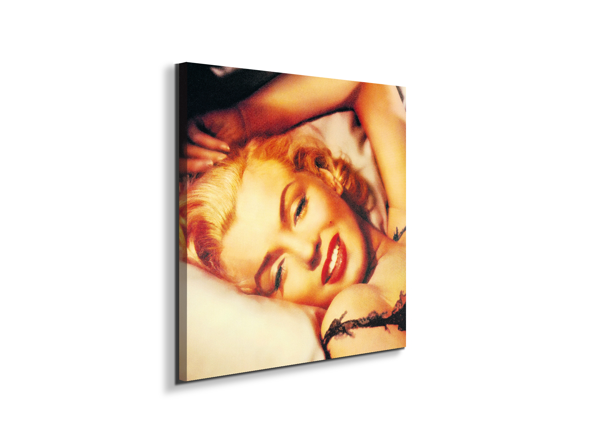 homage-to-marilyn-vec18558-