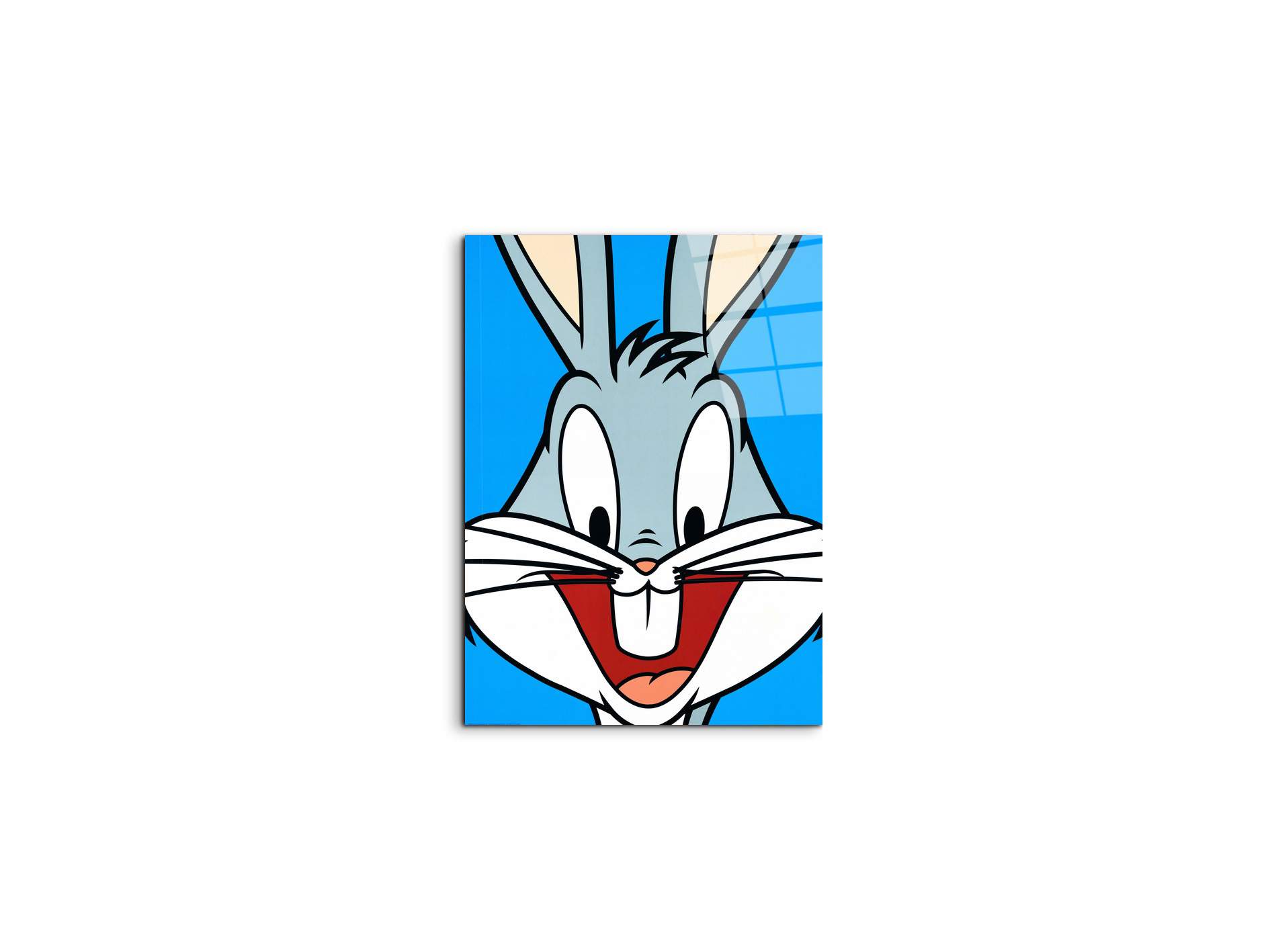 cartoon-iec18625-#materiale_CrystalArt/dimensioni_37,42x50