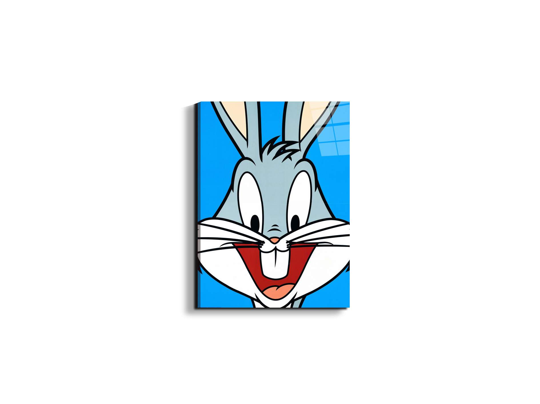 cartoon-iec18625-#materiale_EarthArt Total Gloss/dimensioni_37,42x50