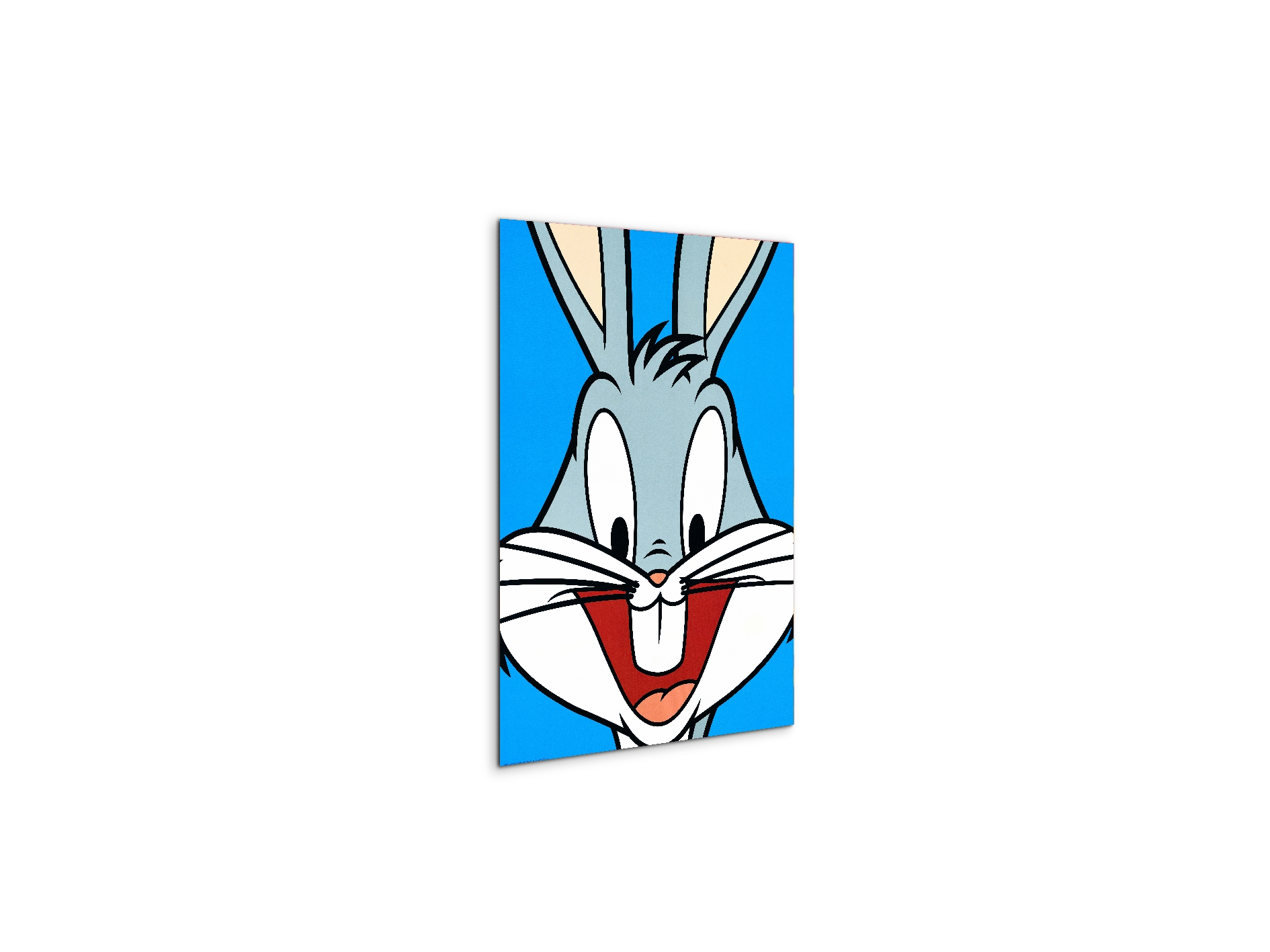 cartoon-iec18625-#materiale_MetalArt Materic/dimensioni_37,42x50