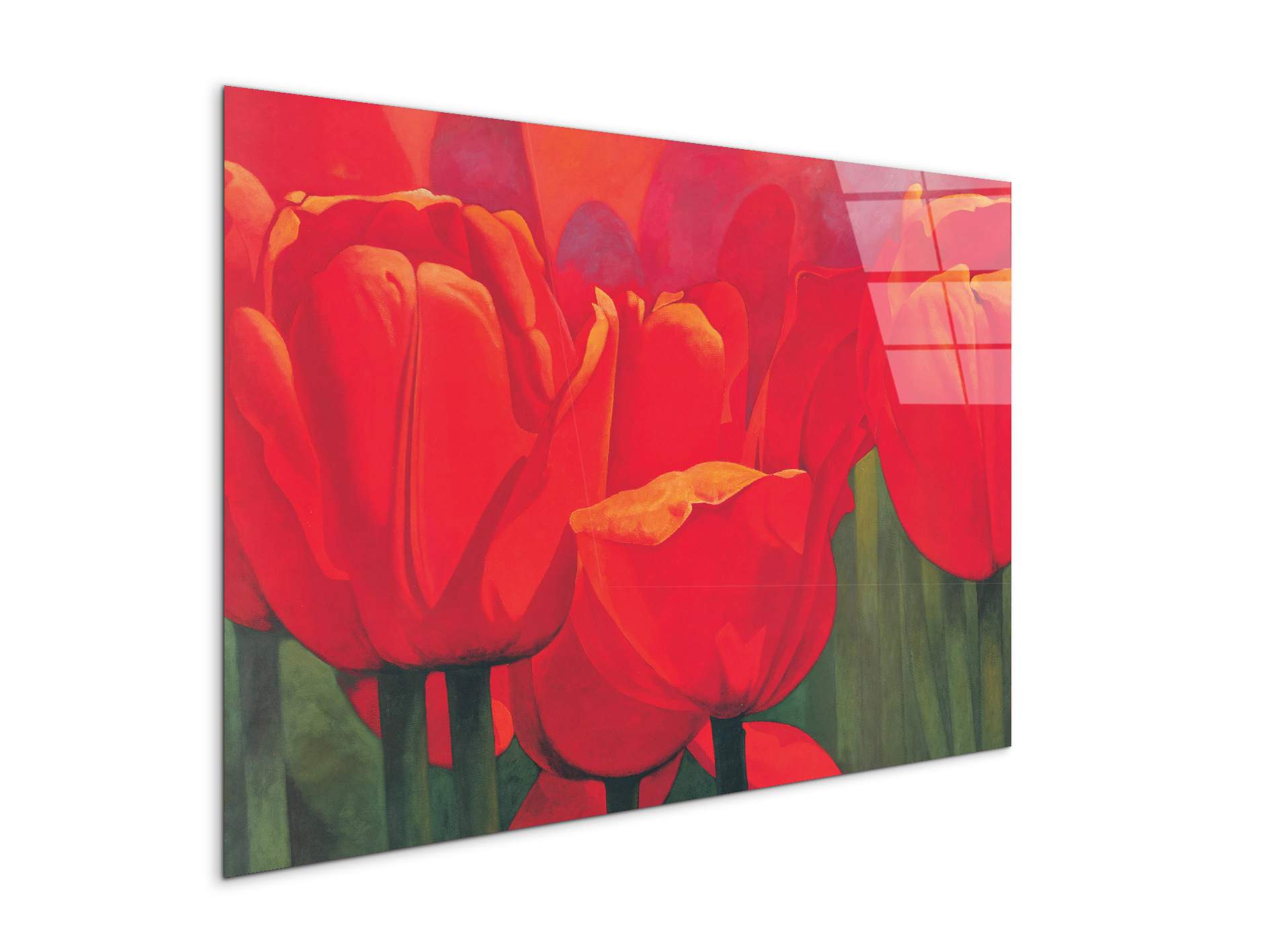 red-tulips-iec18694-