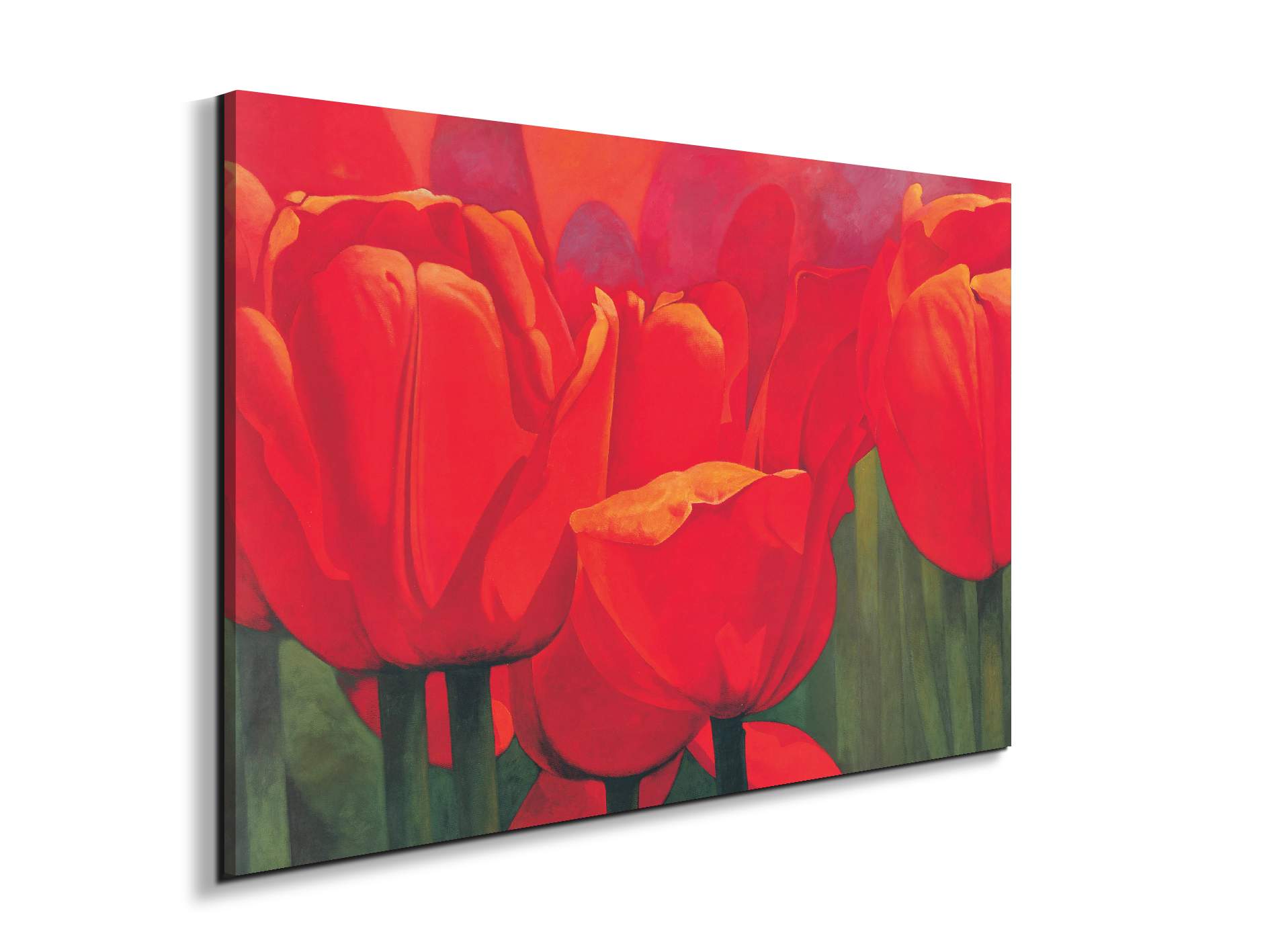 red-tulips-iec18694-