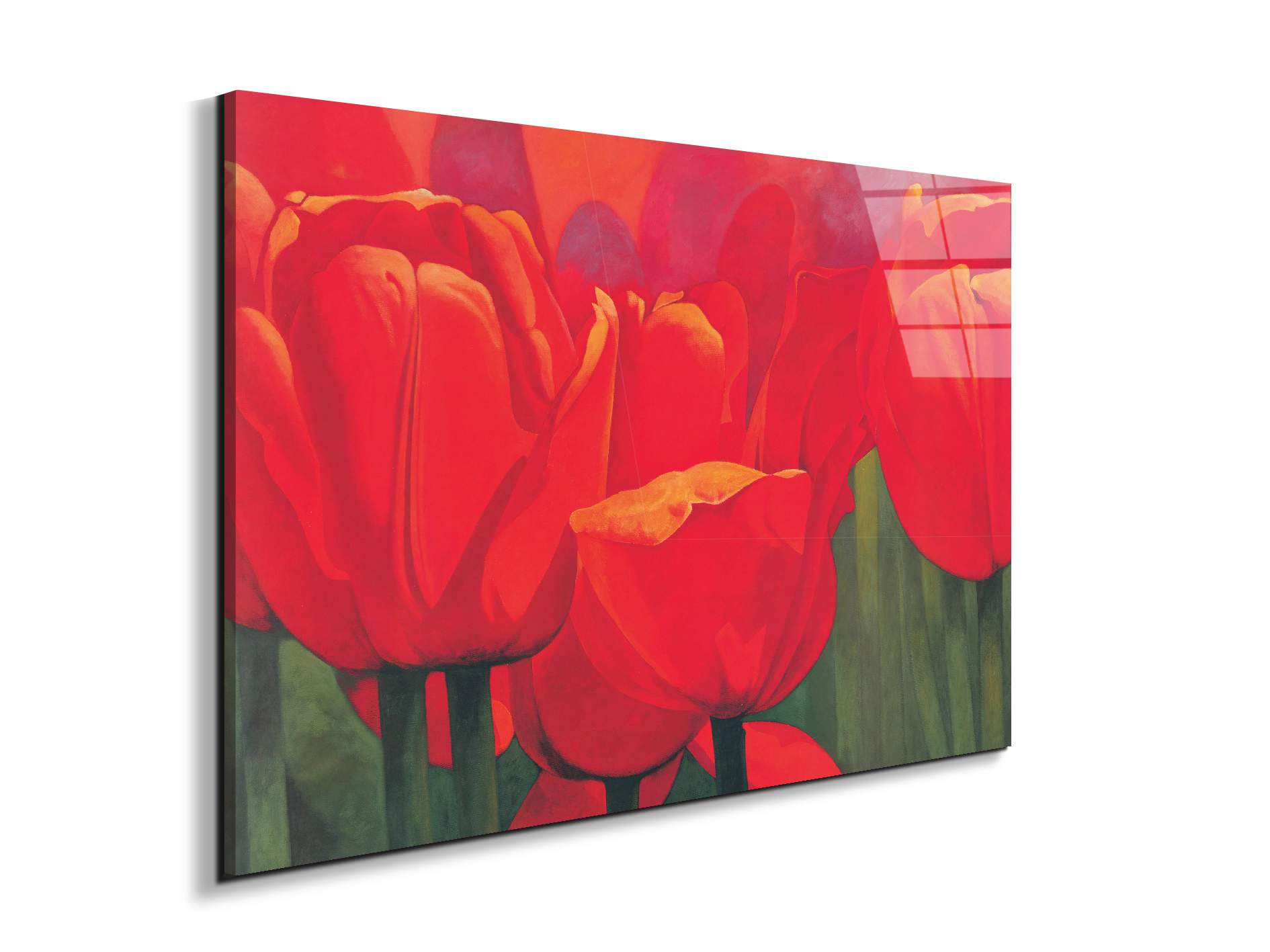 red-tulips-iec18694-