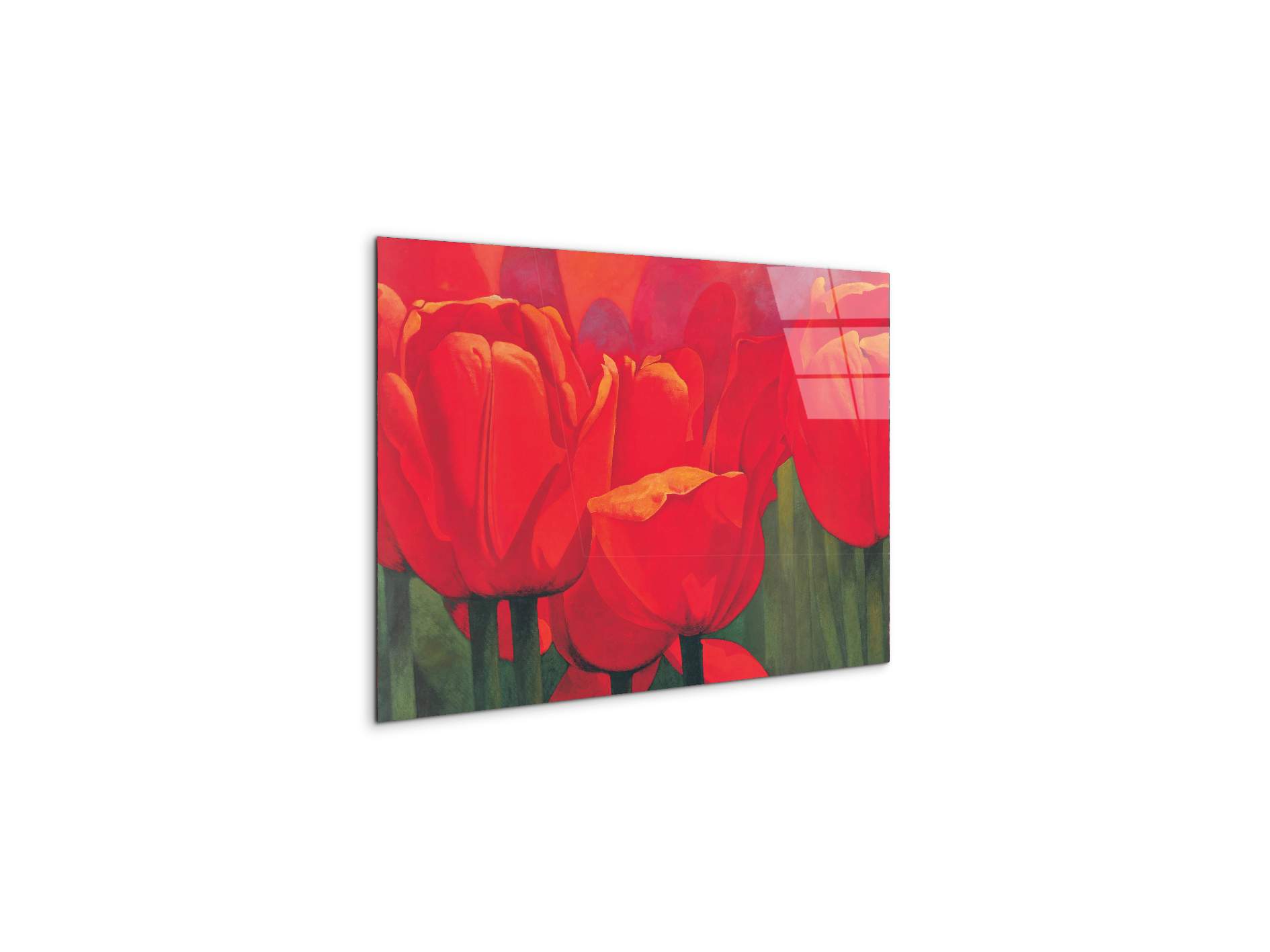 red-tulips-iec18694-