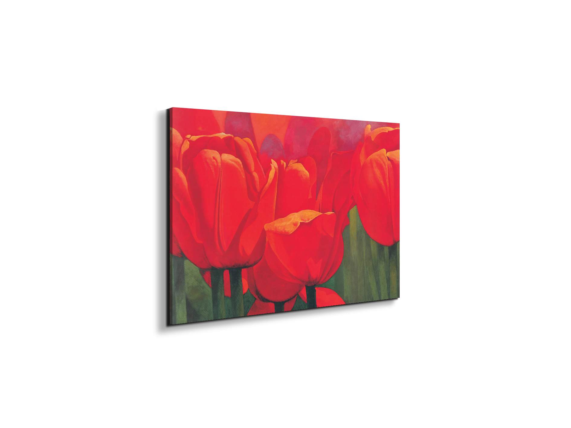 red-tulips-iec18694-