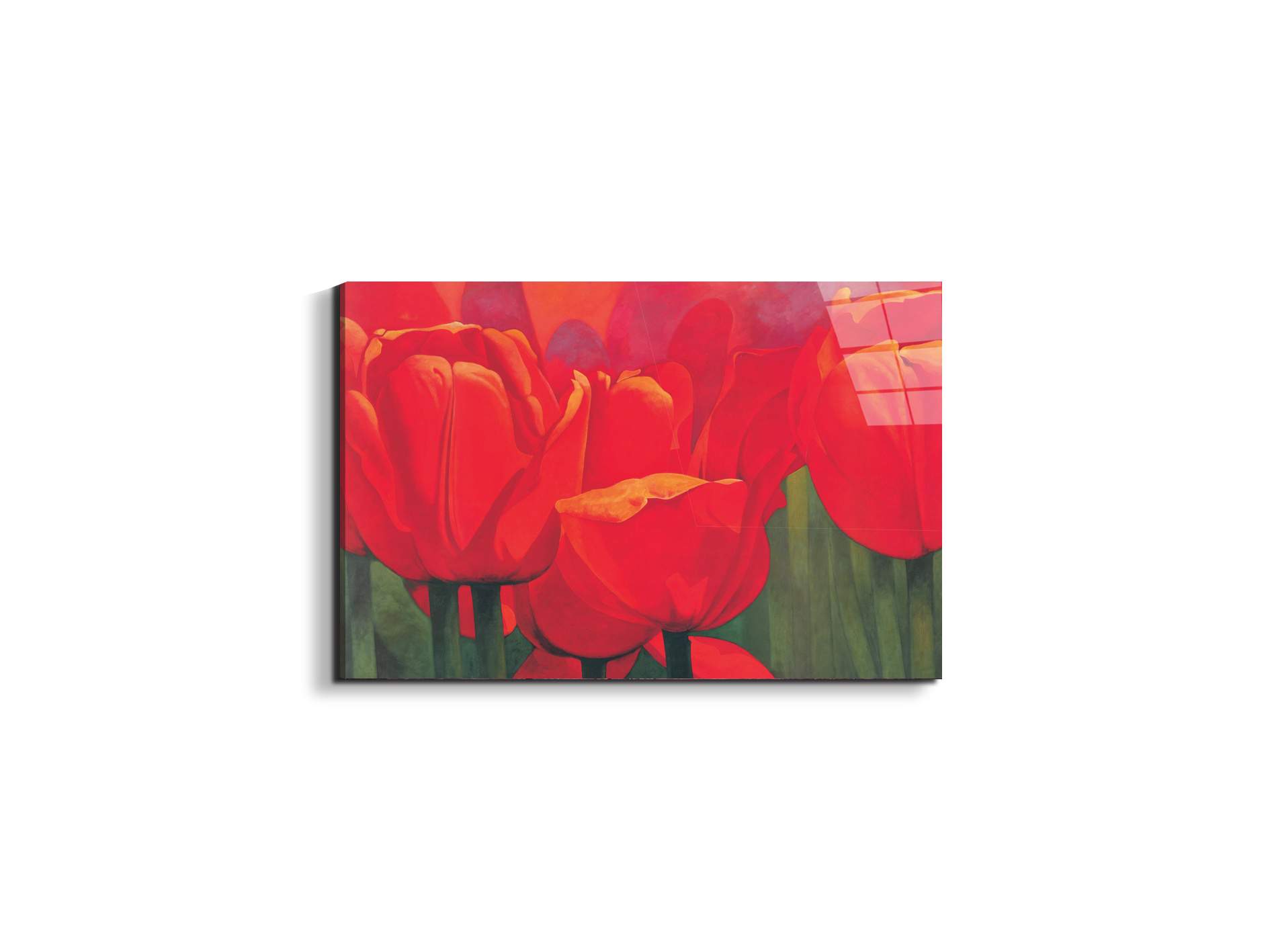 red-tulips-iec18694-