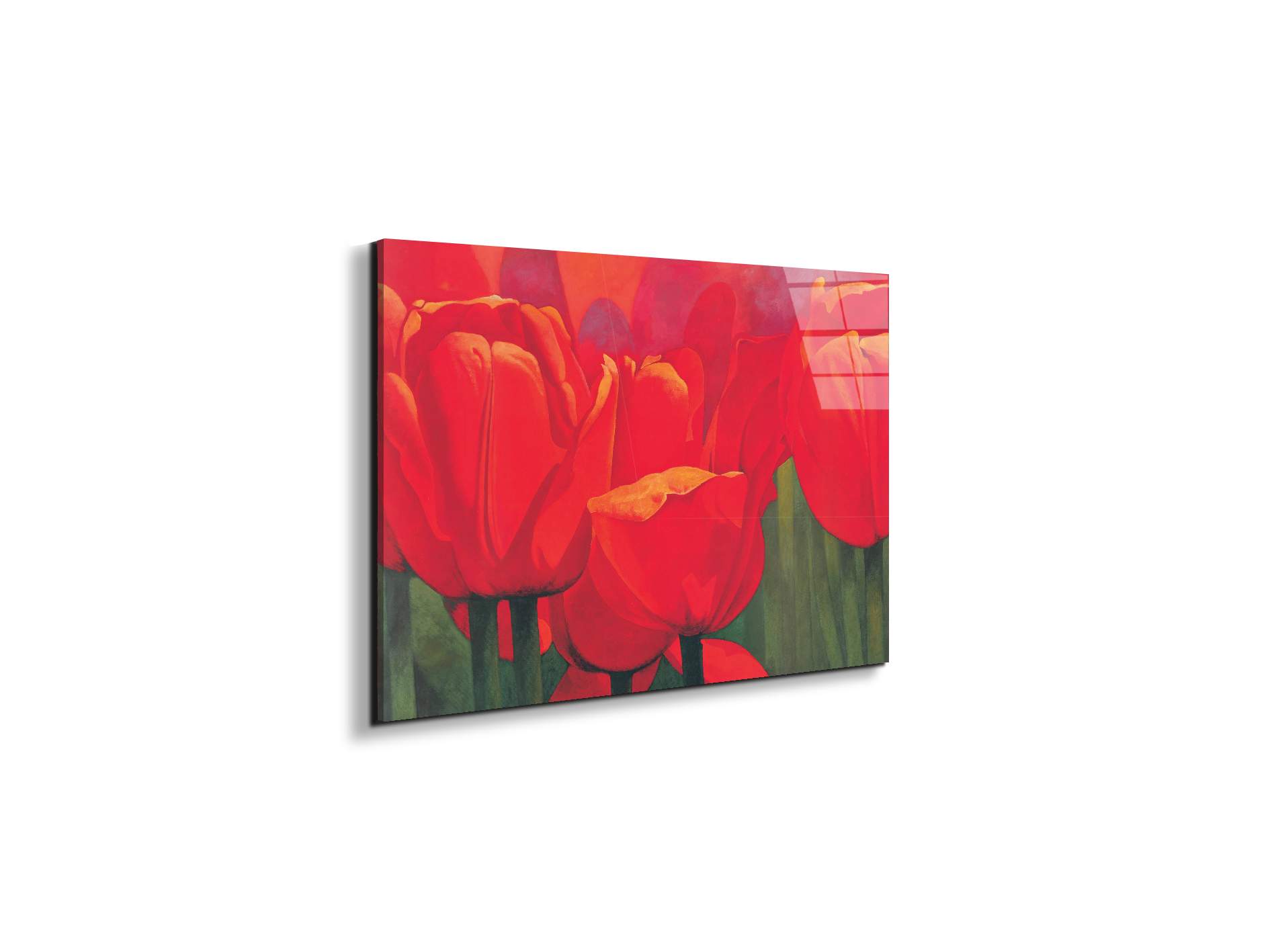 red-tulips-iec18694-