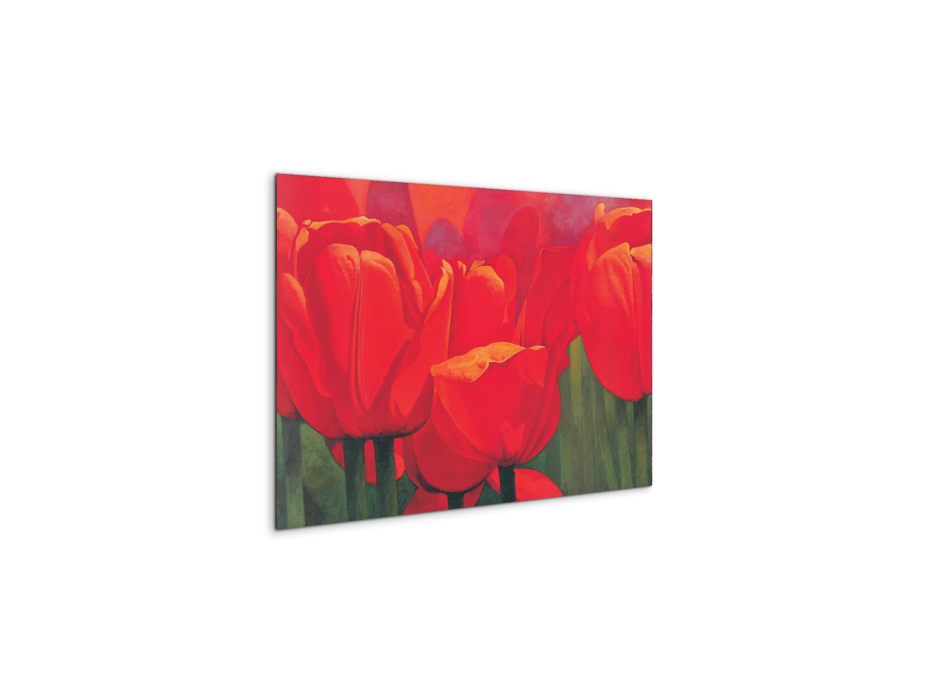 red-tulips-iec18694-