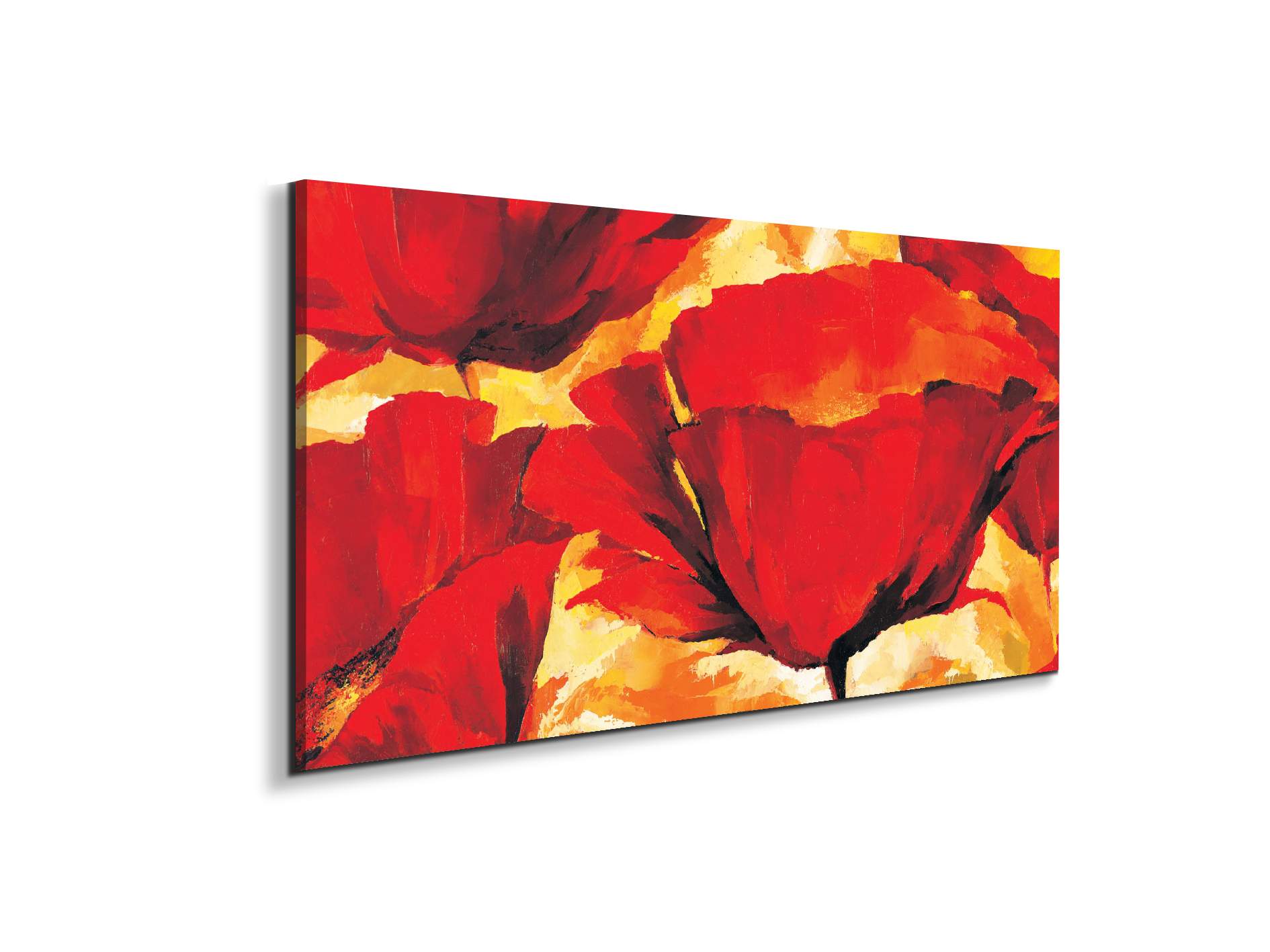 red-poppies-iec18700-