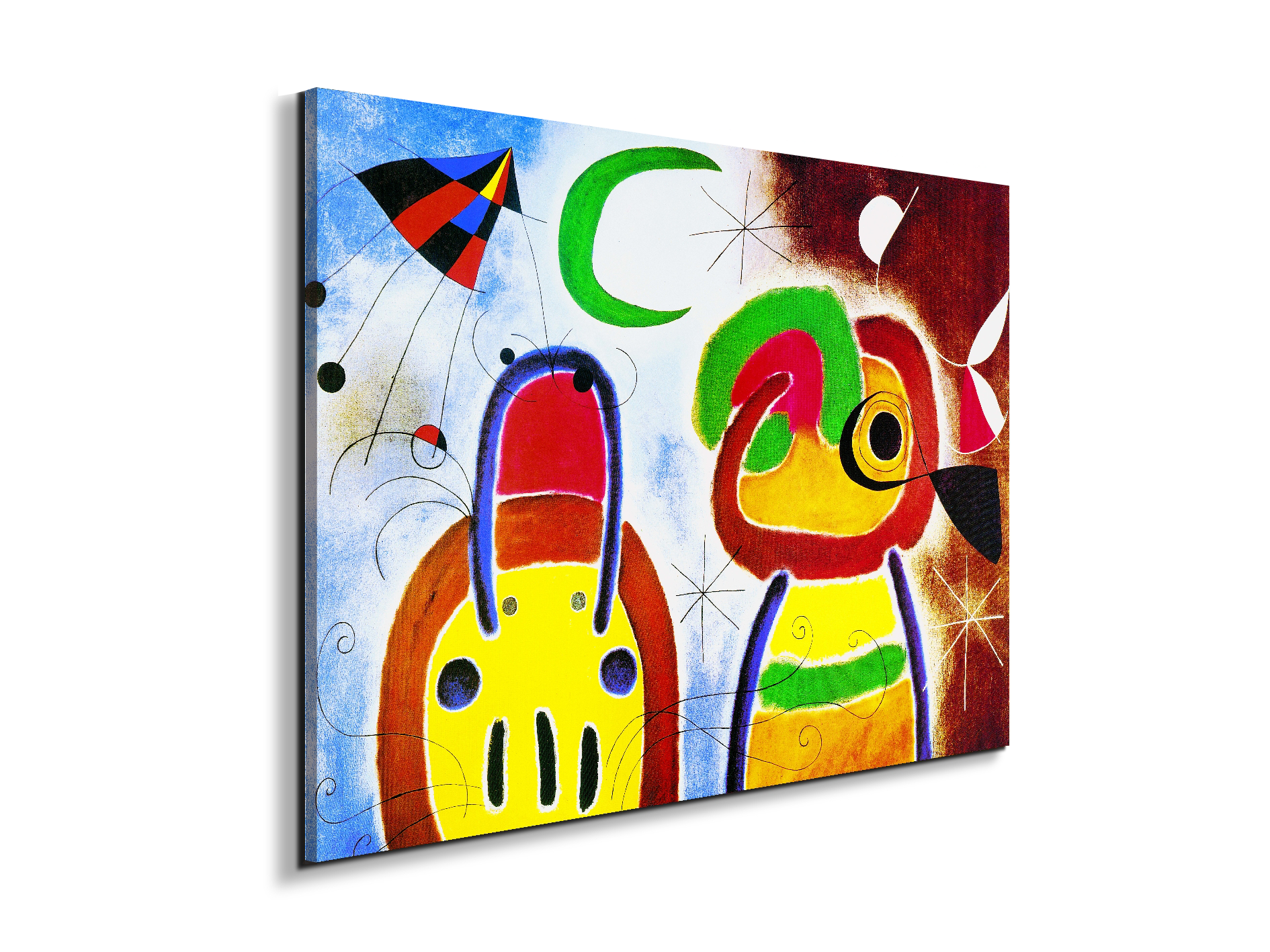homage-to-joan-loiseau-au-plumage-deployec19753-