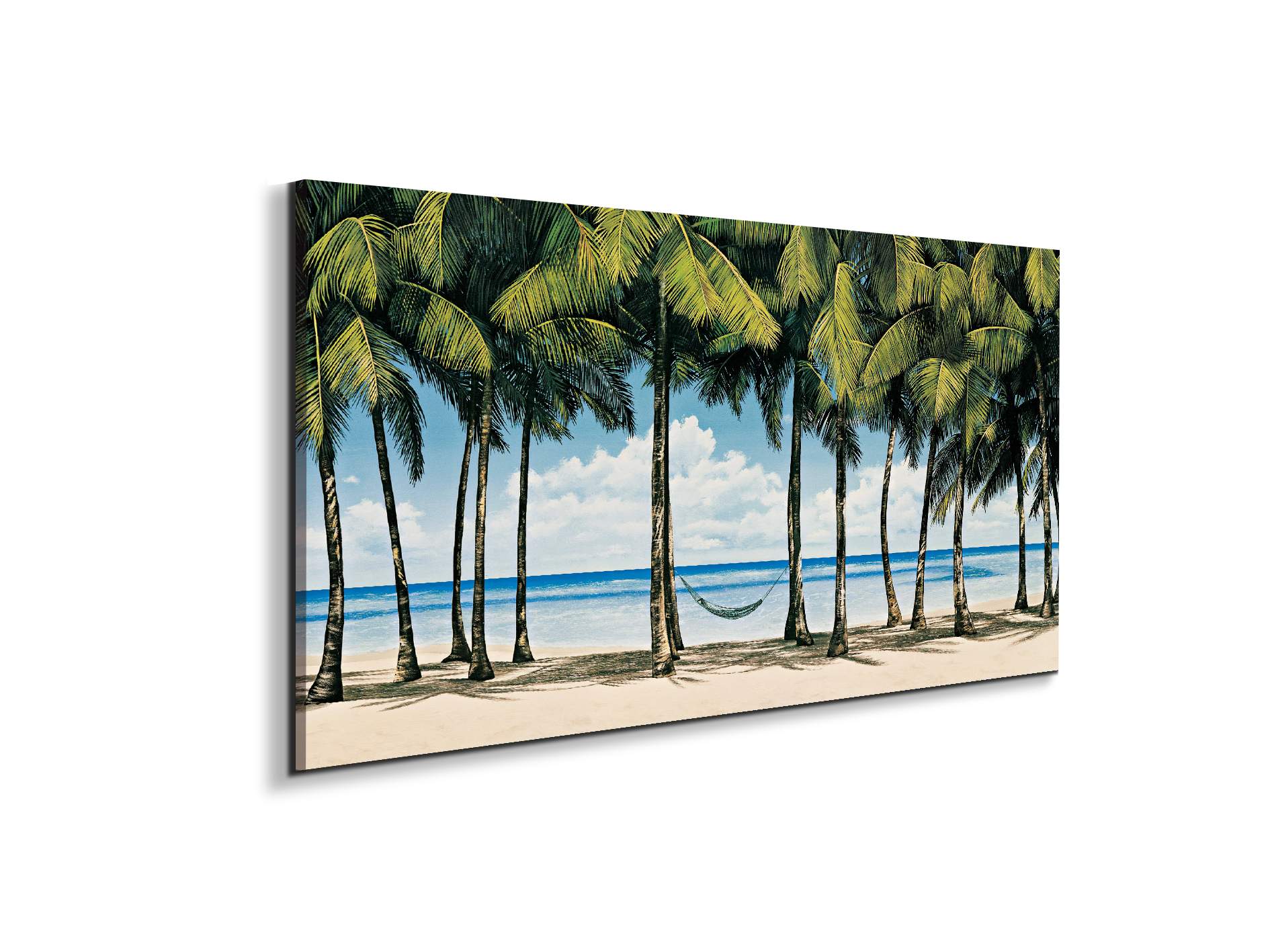 hammock-on-the-beachec19844-