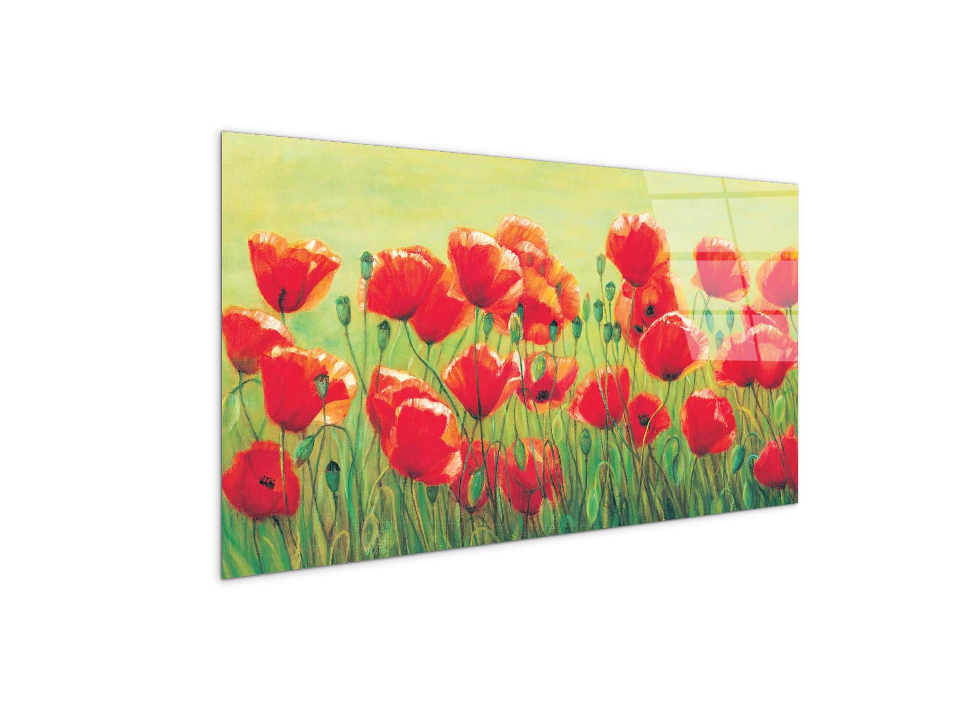 red-poppies-iiec20307-