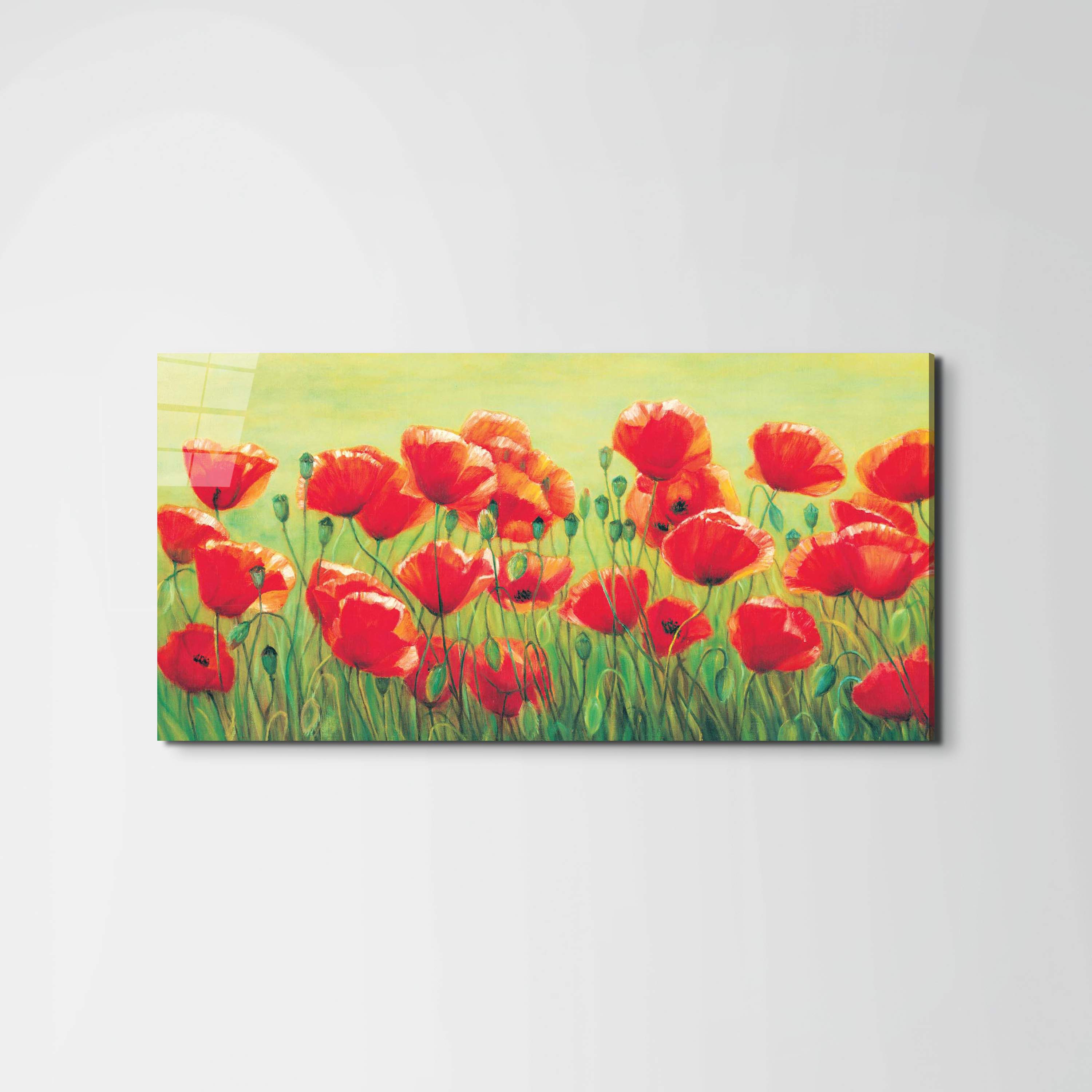 red-poppies-iiec20307-
