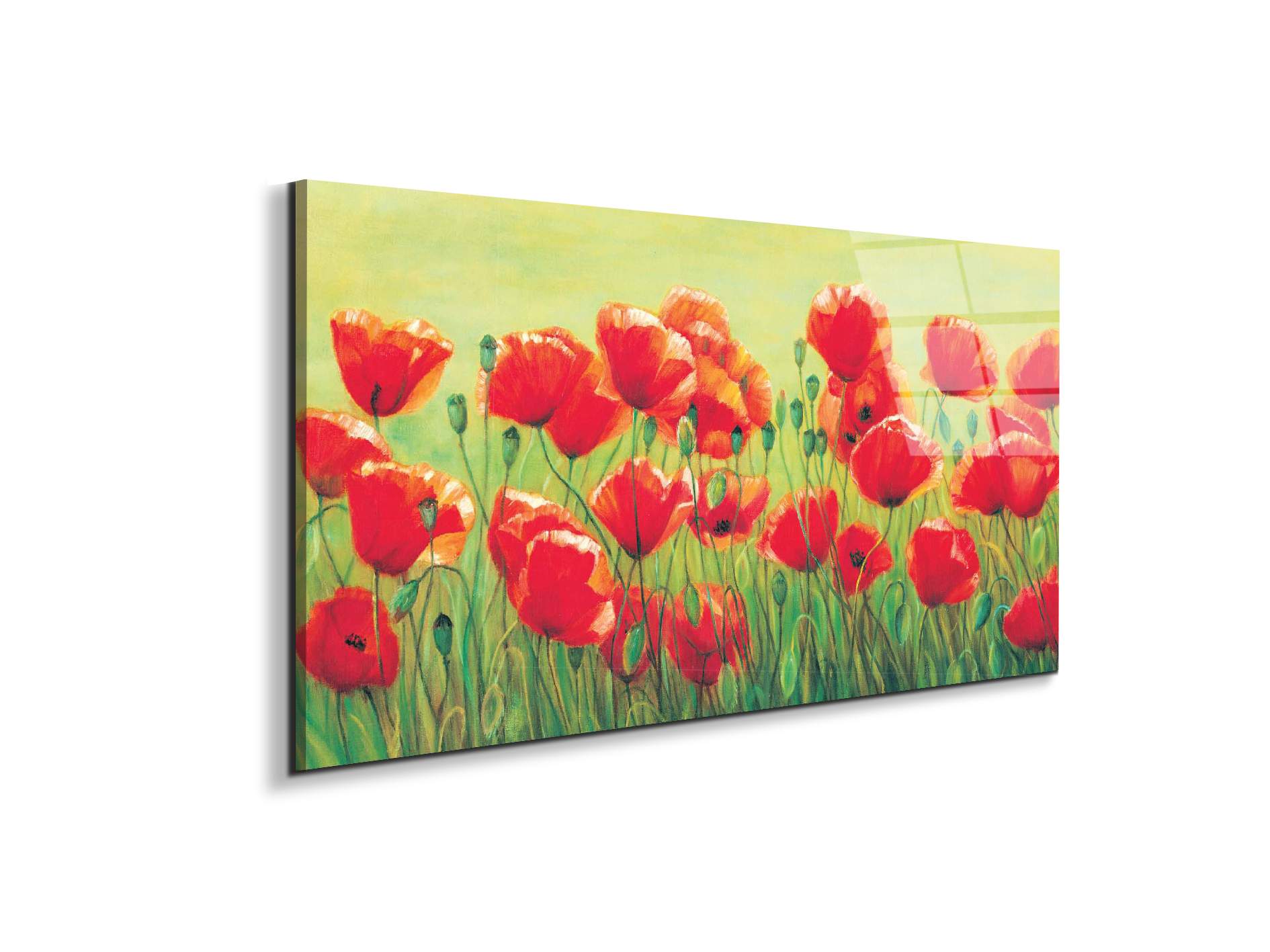 red-poppies-iiec20307-