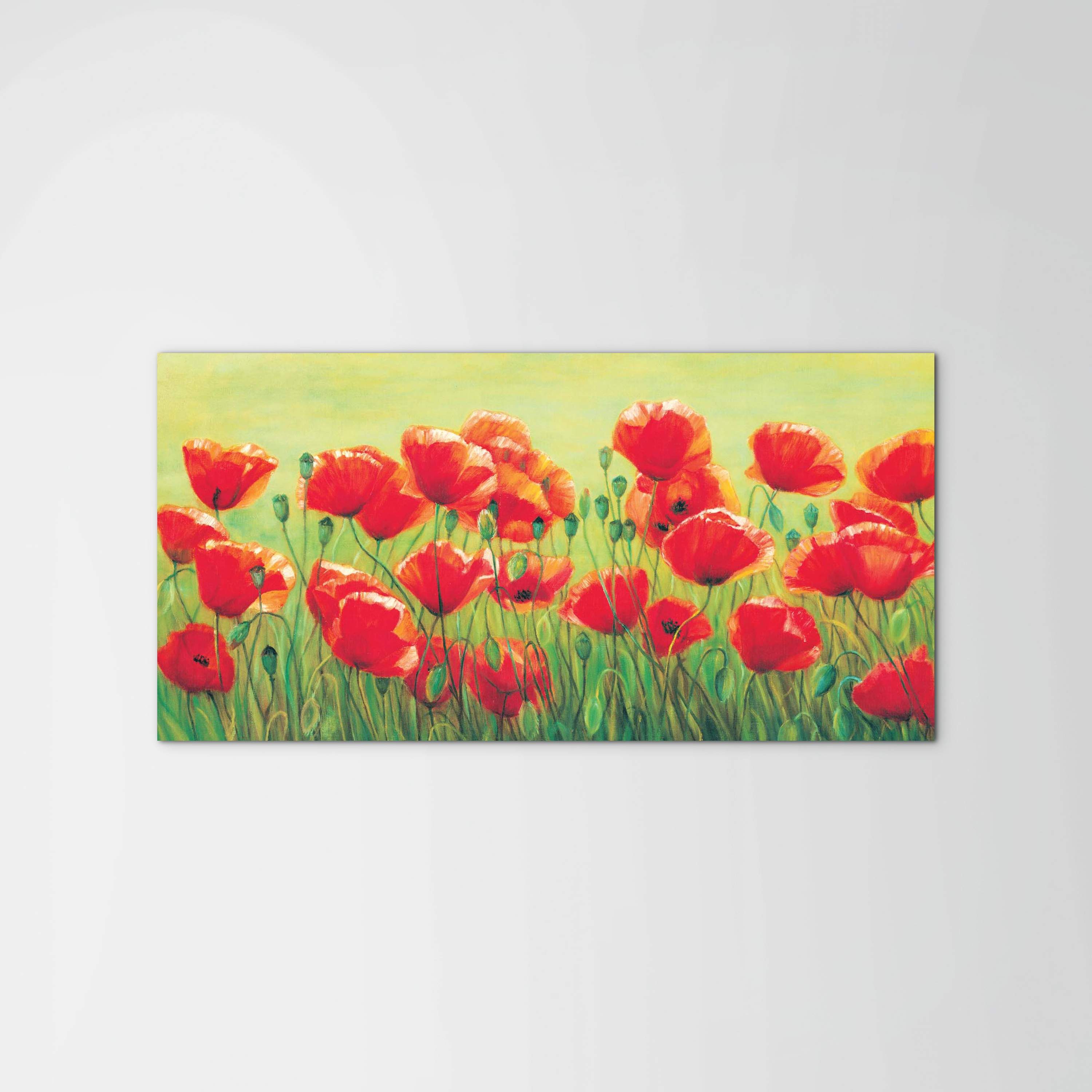 red-poppies-iiec20307-