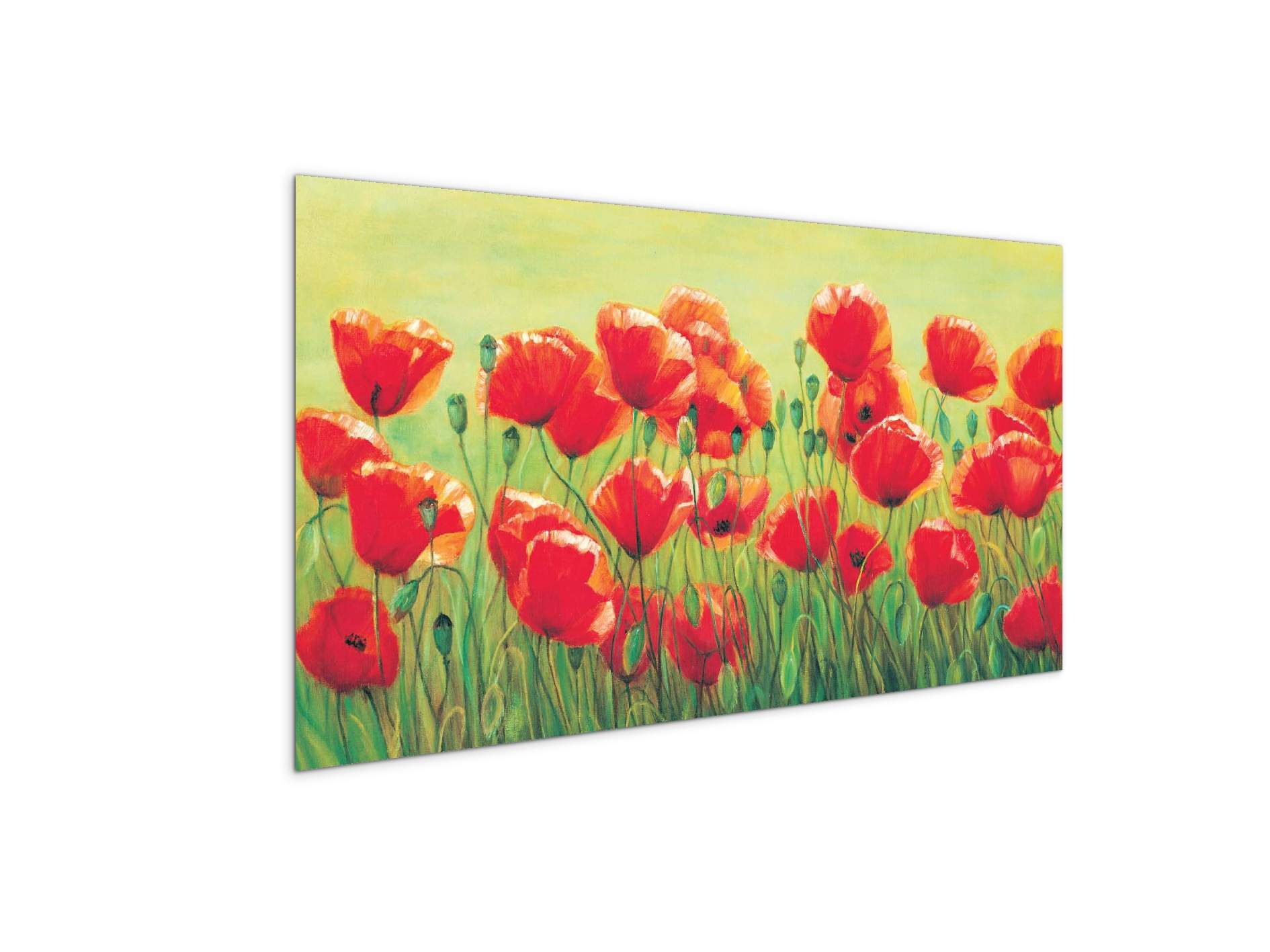 red-poppies-iiec20307-
