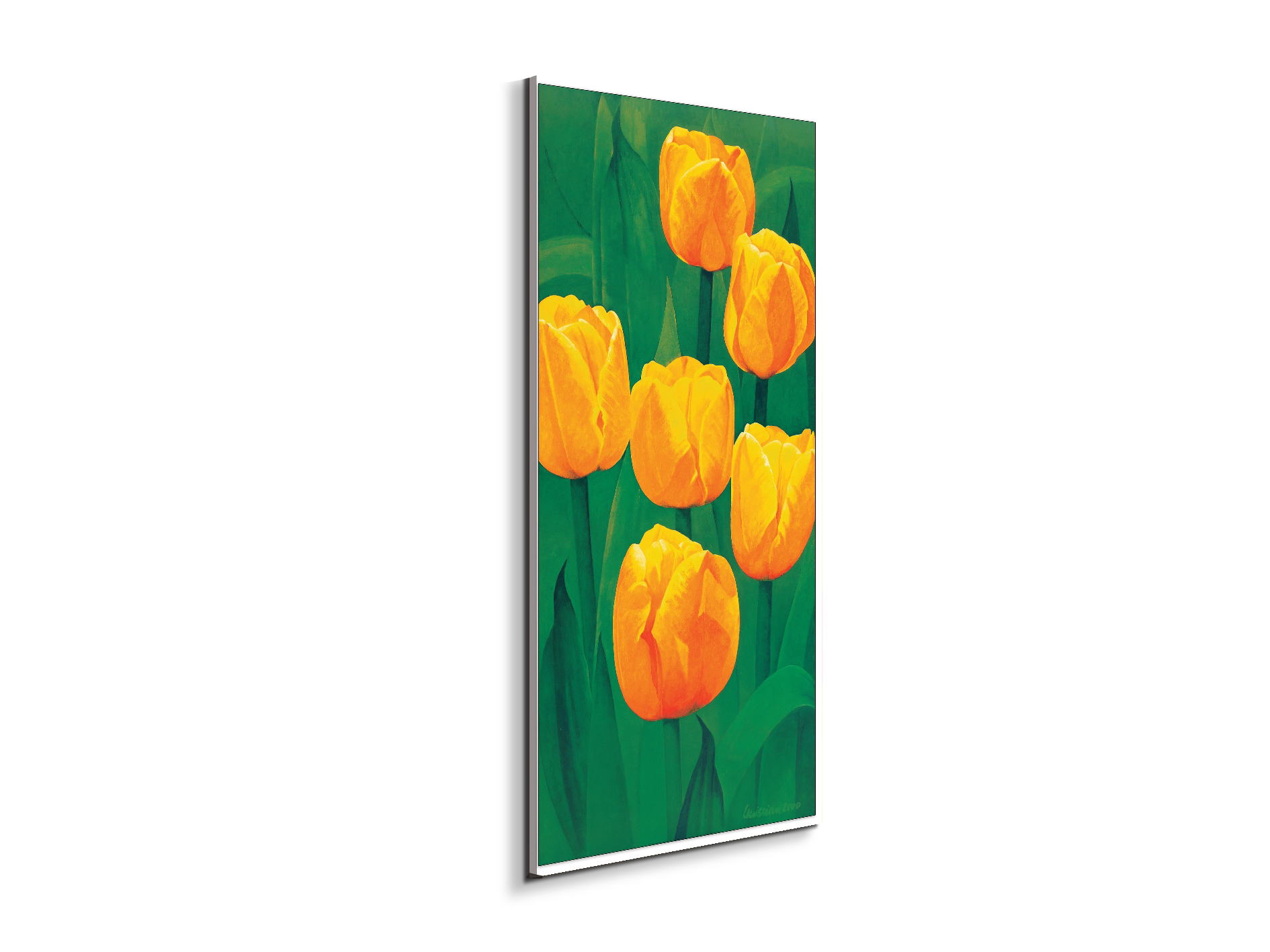yellow-tulipsec20317-