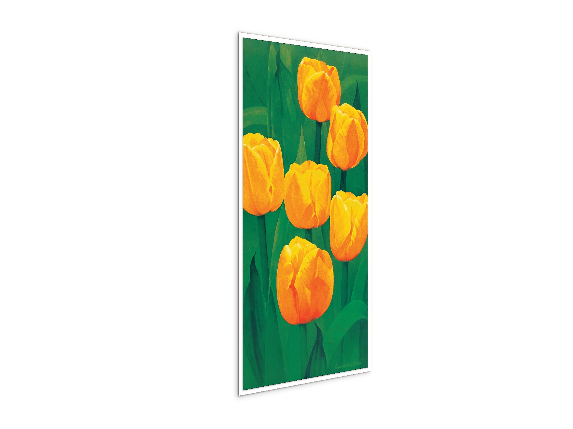yellow-tulipsec20317-