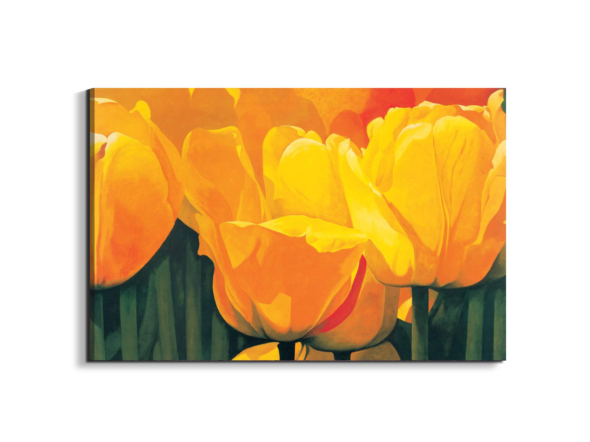 yellow-tulips-iec20318-#materiale_EarthArt/dimensioni_79,5x53