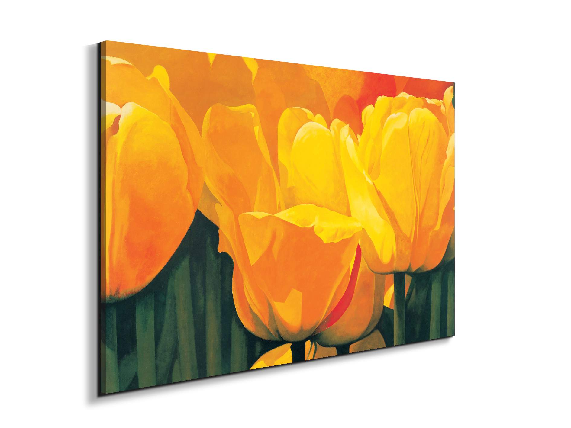 yellow-tulips-iec20318-#materiale_EarthArt Materic/dimensioni_79,5x53