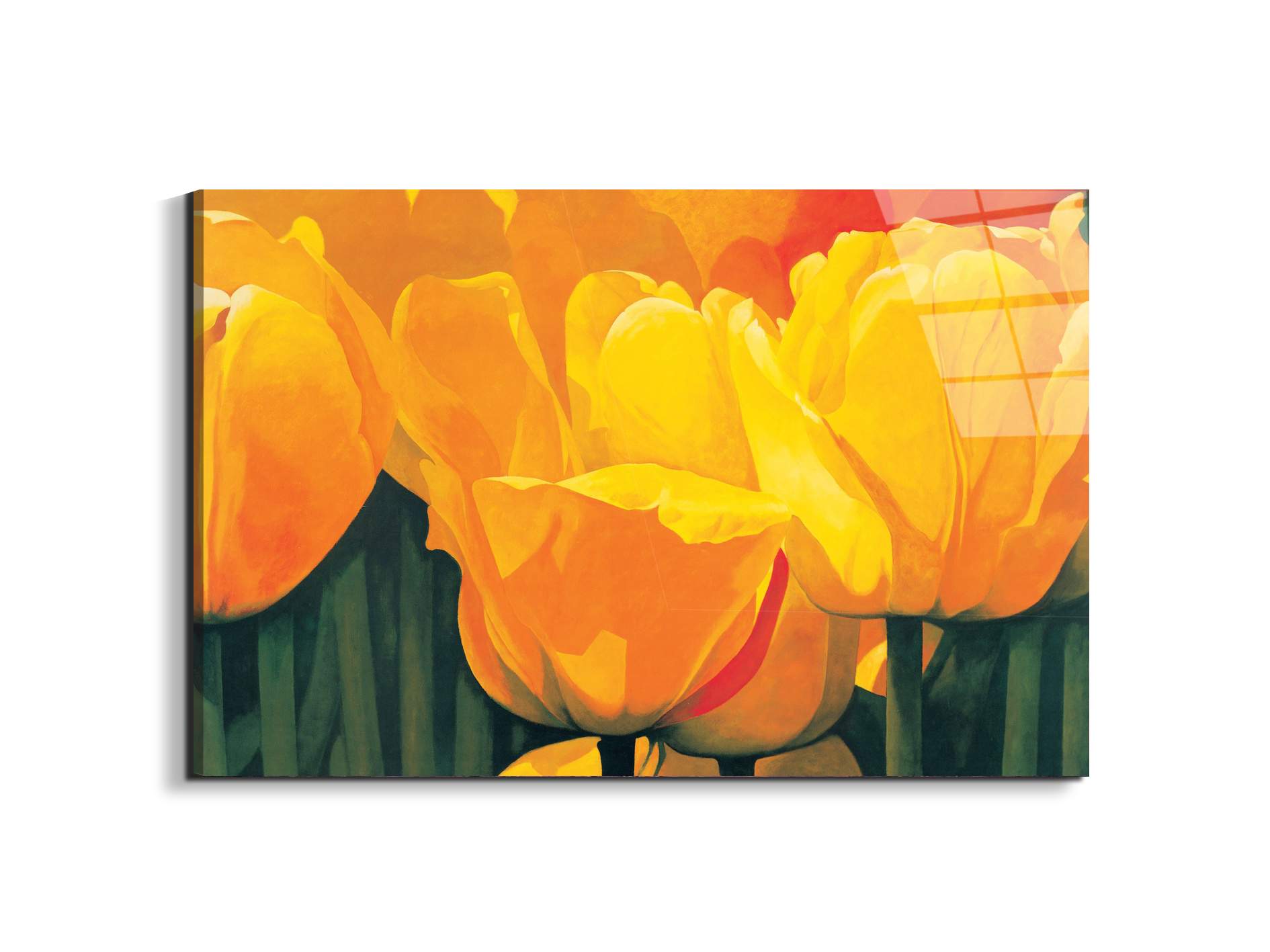 yellow-tulips-iec20318-#materiale_EarthArt Total Gloss/dimensioni_79,5x53