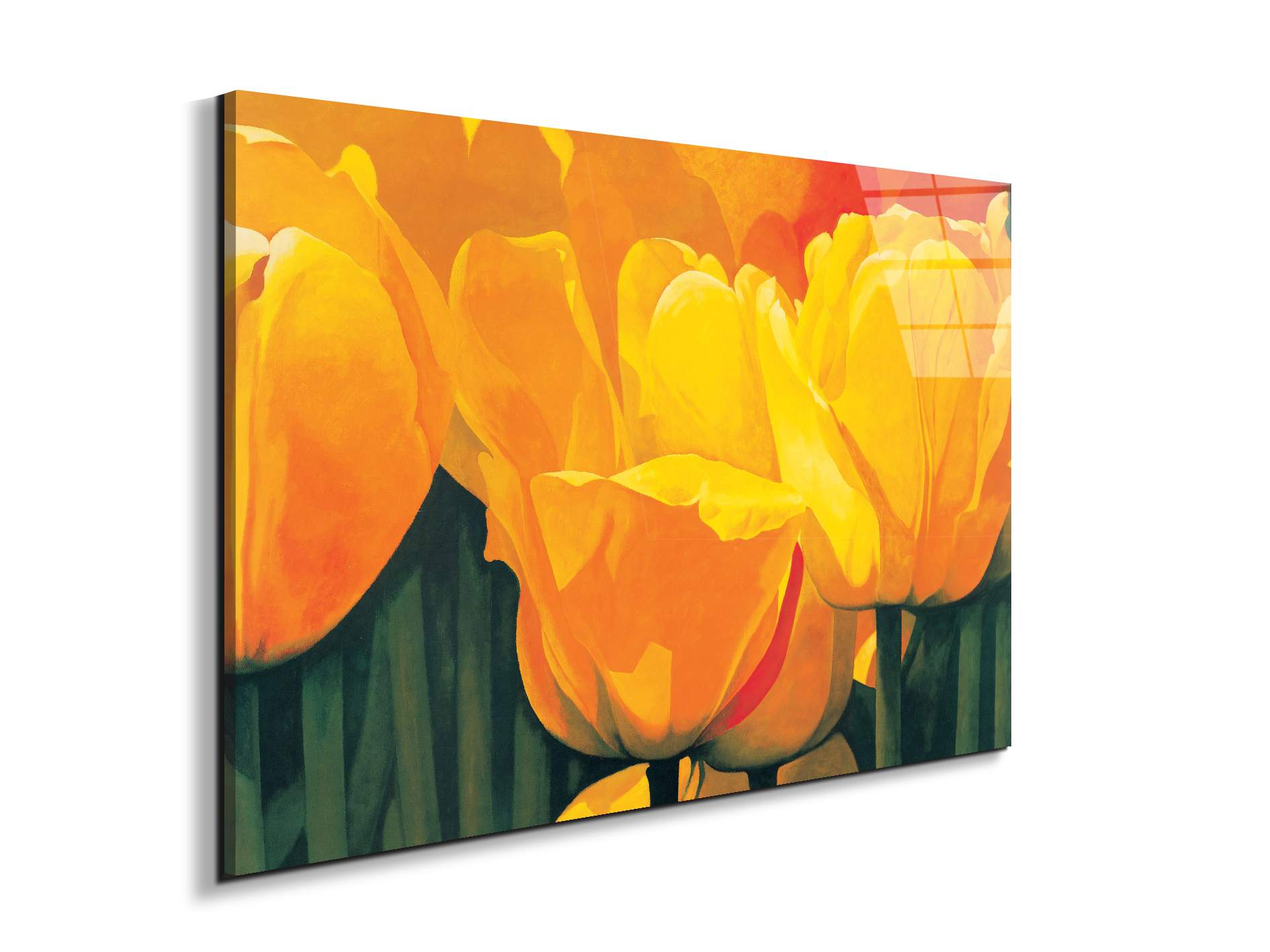 yellow-tulips-iec20318-#materiale_EarthArt Total Gloss/dimensioni_79,5x53
