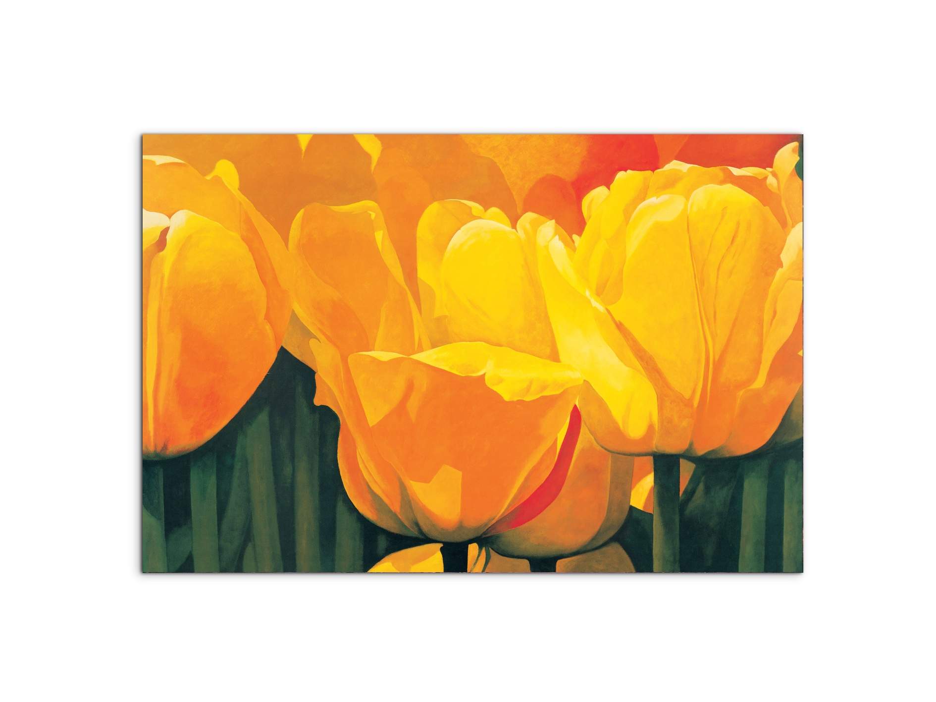 yellow-tulips-iec20318-#materiale_MetalArt Materic/dimensioni_79,5x53