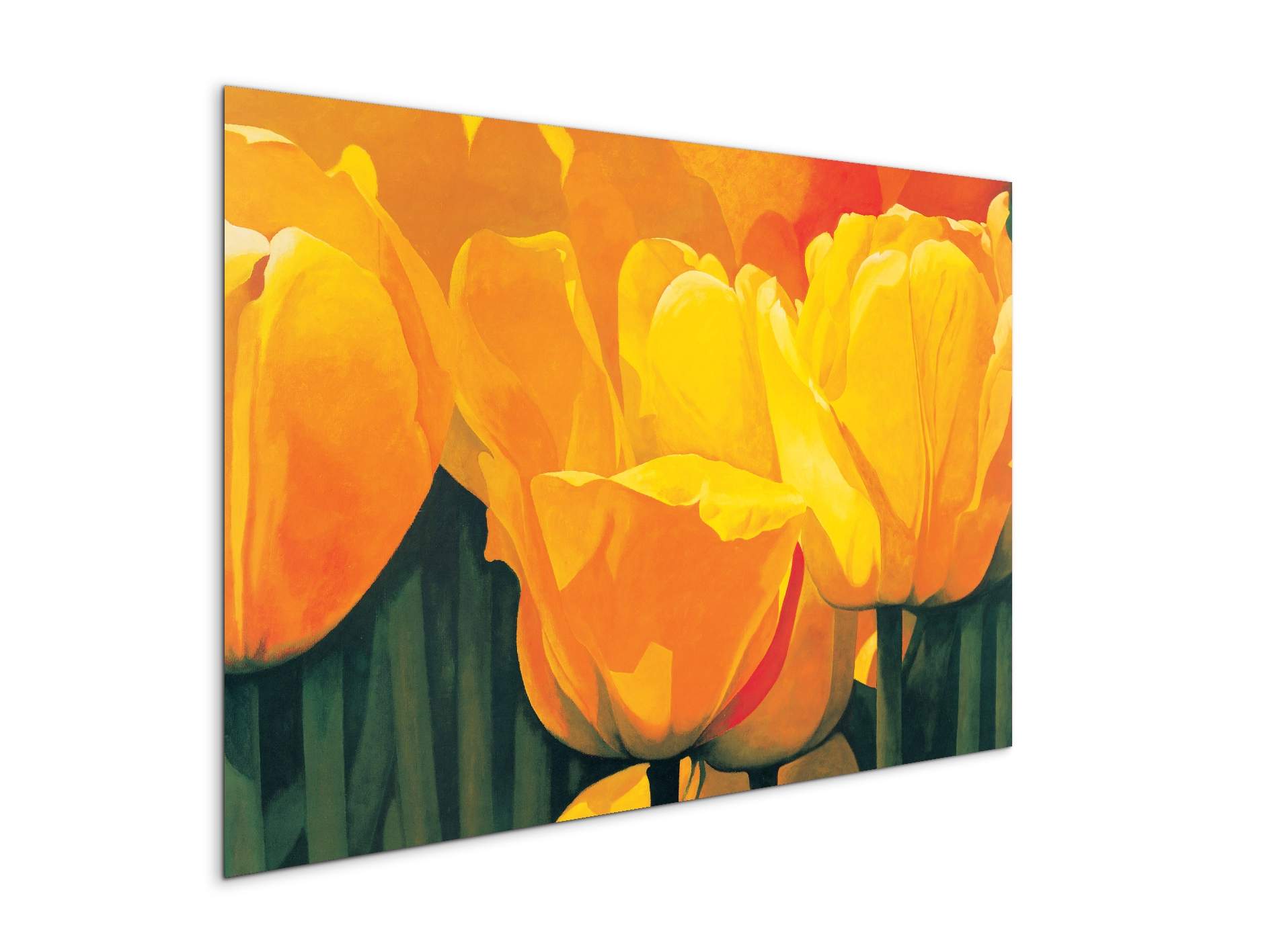 yellow-tulips-iec20318-#materiale_MetalArt Materic/dimensioni_79,5x53