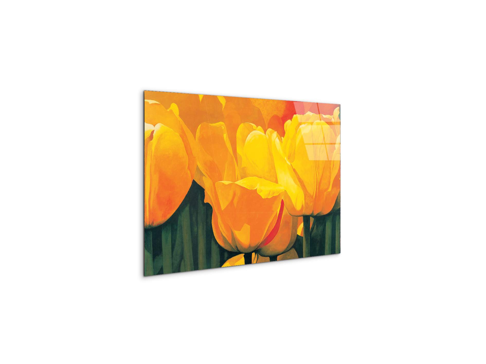 yellow-tulips-iec20318-#materiale_CrystalArt/dimensioni_50x33,33