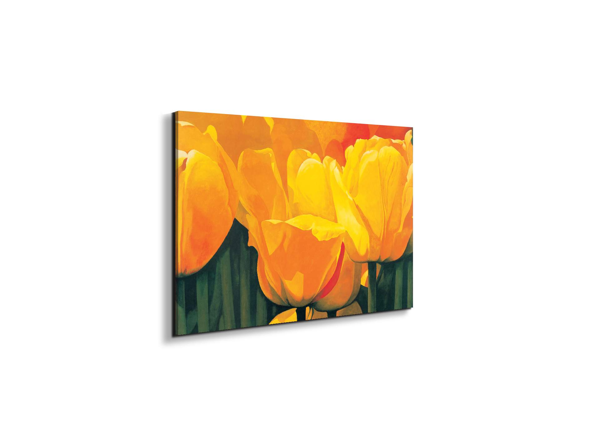 yellow-tulips-iec20318-#materiale_EarthArt Materic/dimensioni_50x33,33