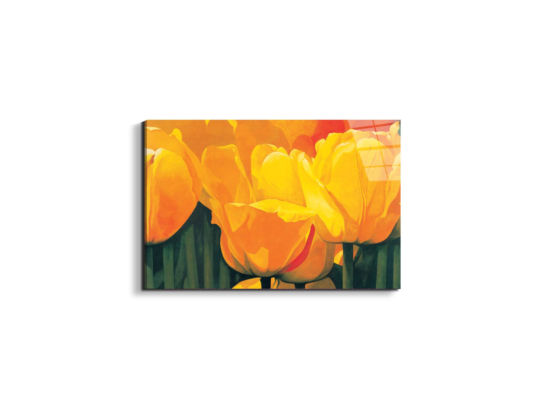 yellow-tulips-iec20318-#materiale_EarthArt Total Gloss/dimensioni_50x33,33