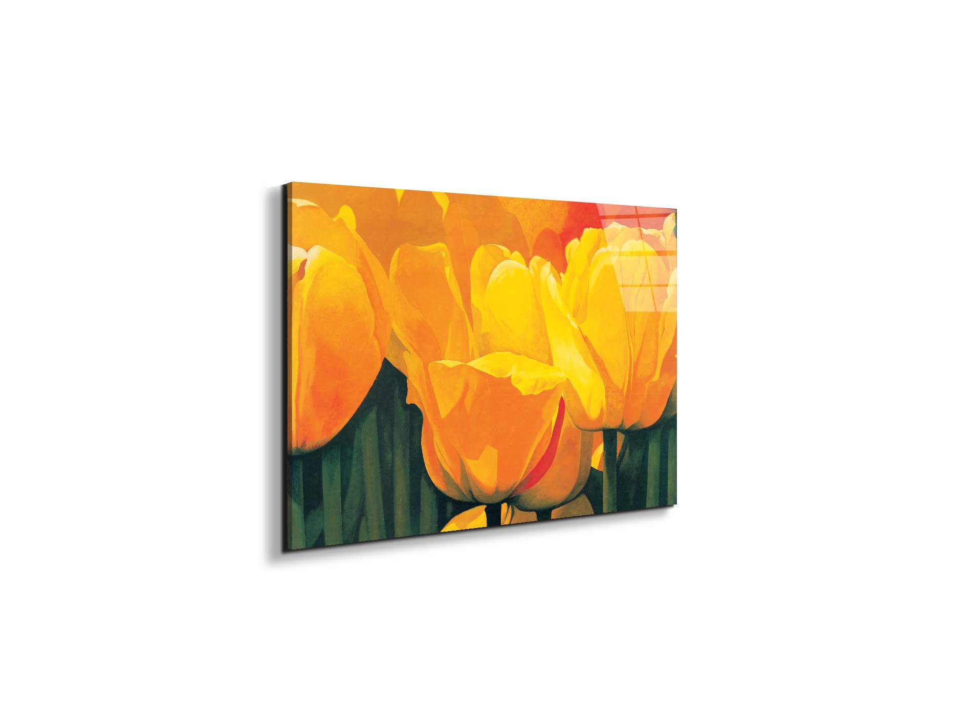 yellow-tulips-iec20318-#materiale_EarthArt Total Gloss/dimensioni_50x33,33