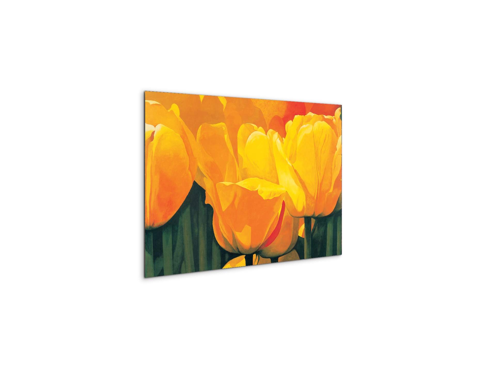 yellow-tulips-iec20318-#materiale_MetalArt Materic/dimensioni_50x33,33