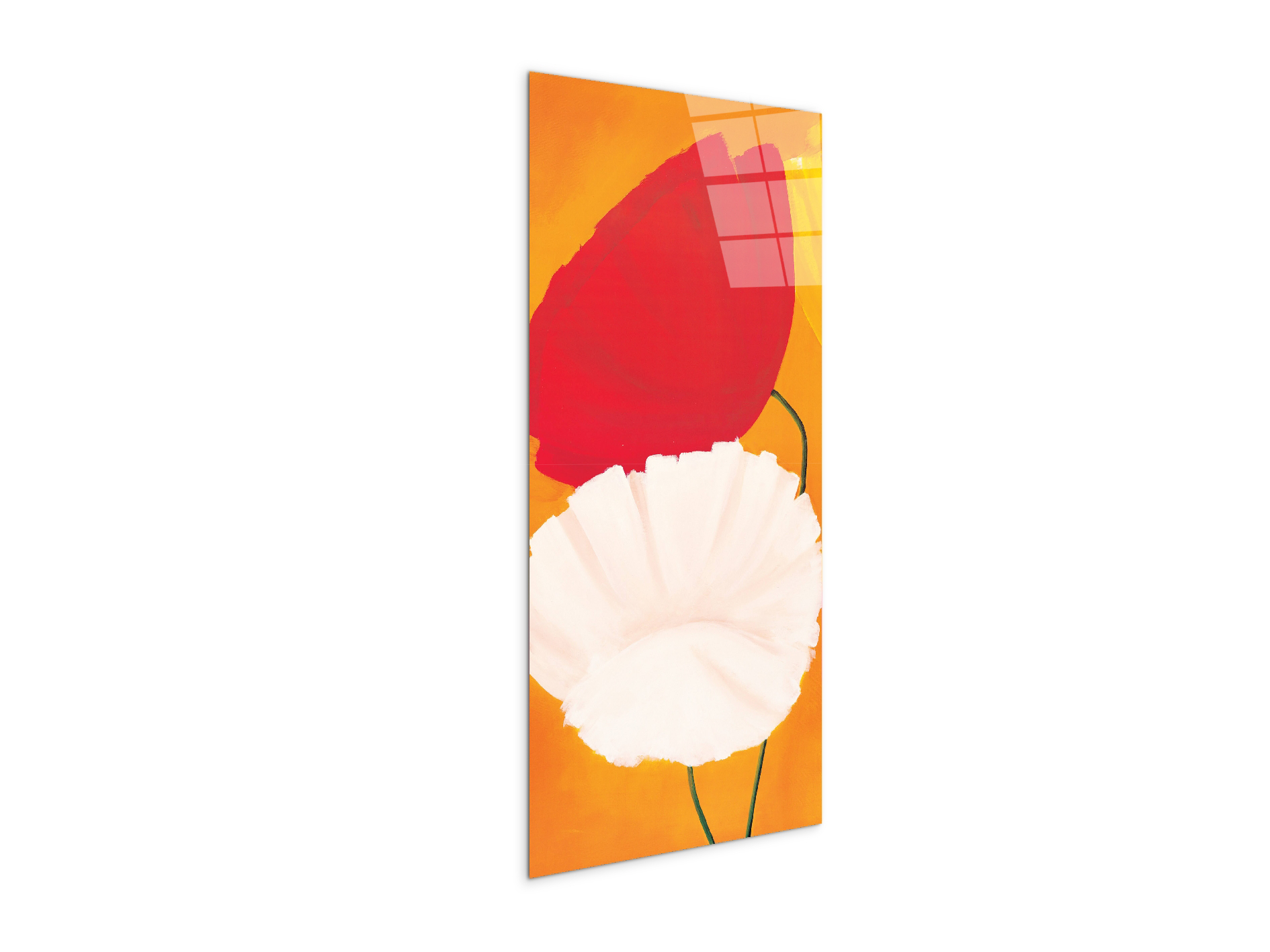poppies-red-white-flowersec20354-