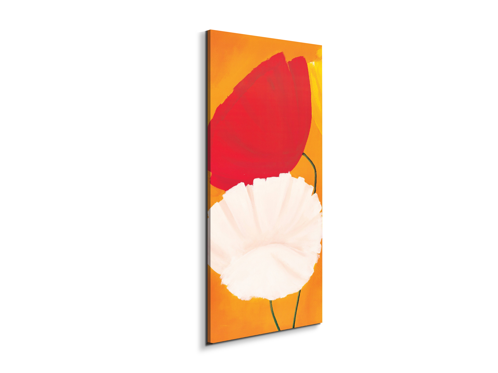 poppies-red-white-flowersec20354-