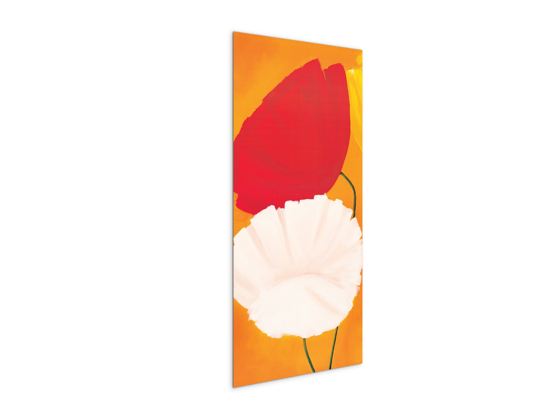poppies-red-white-flowersec20354-