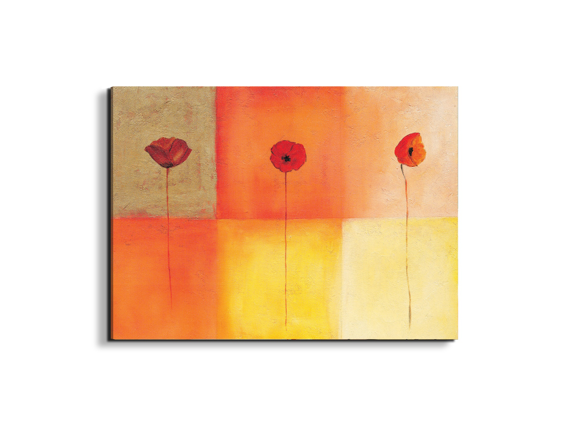 poppies-squaresec20430-