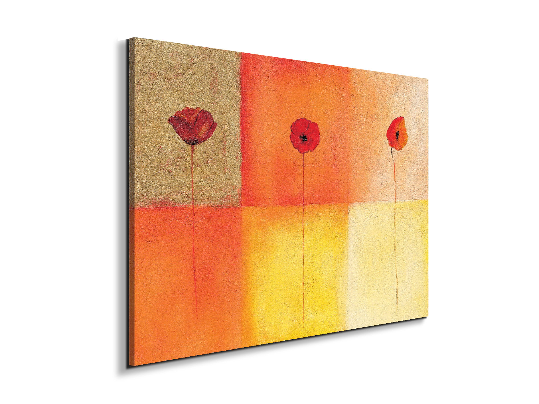 poppies-squaresec20430-