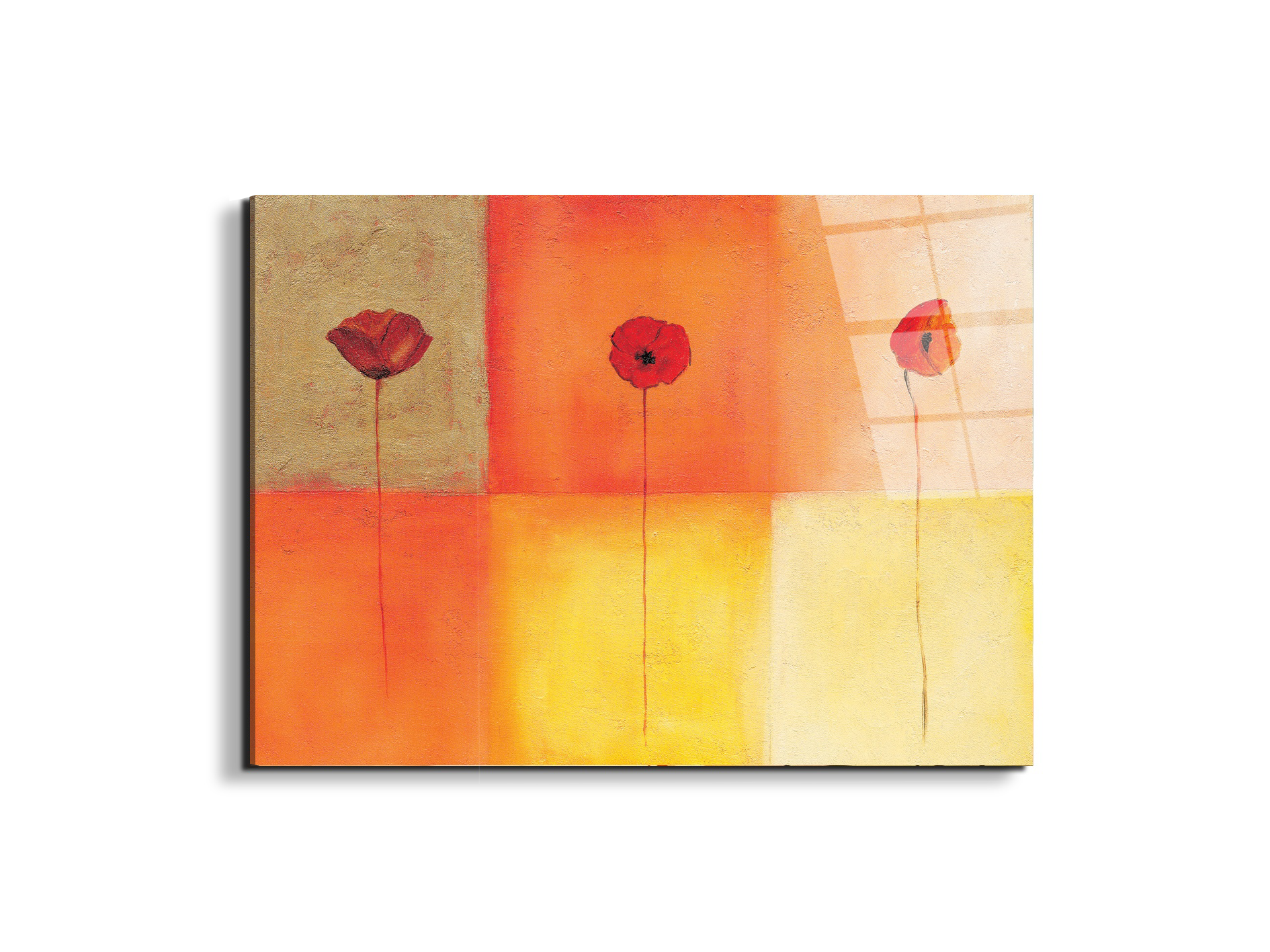 poppies-squaresec20430-